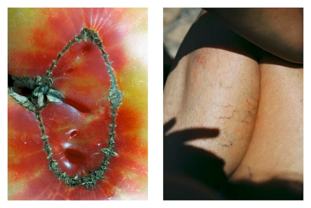 Lucile Boiron - Womb - Image 2