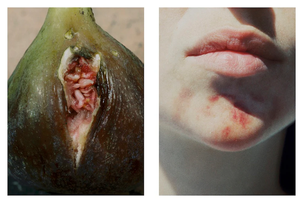 Lucile Boiron - Womb - Image 3
