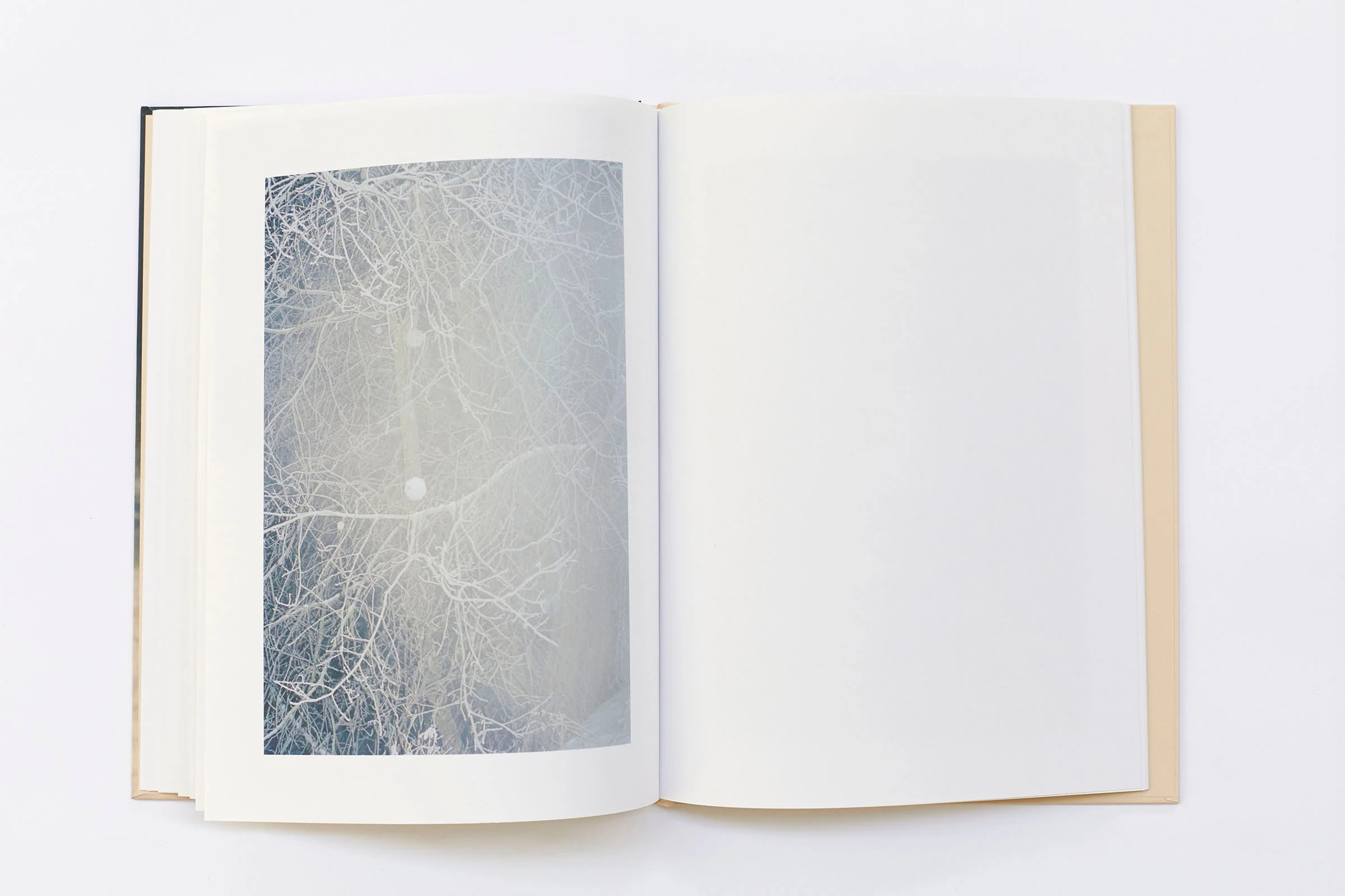 Ola Rindal - Thujord - Image 11