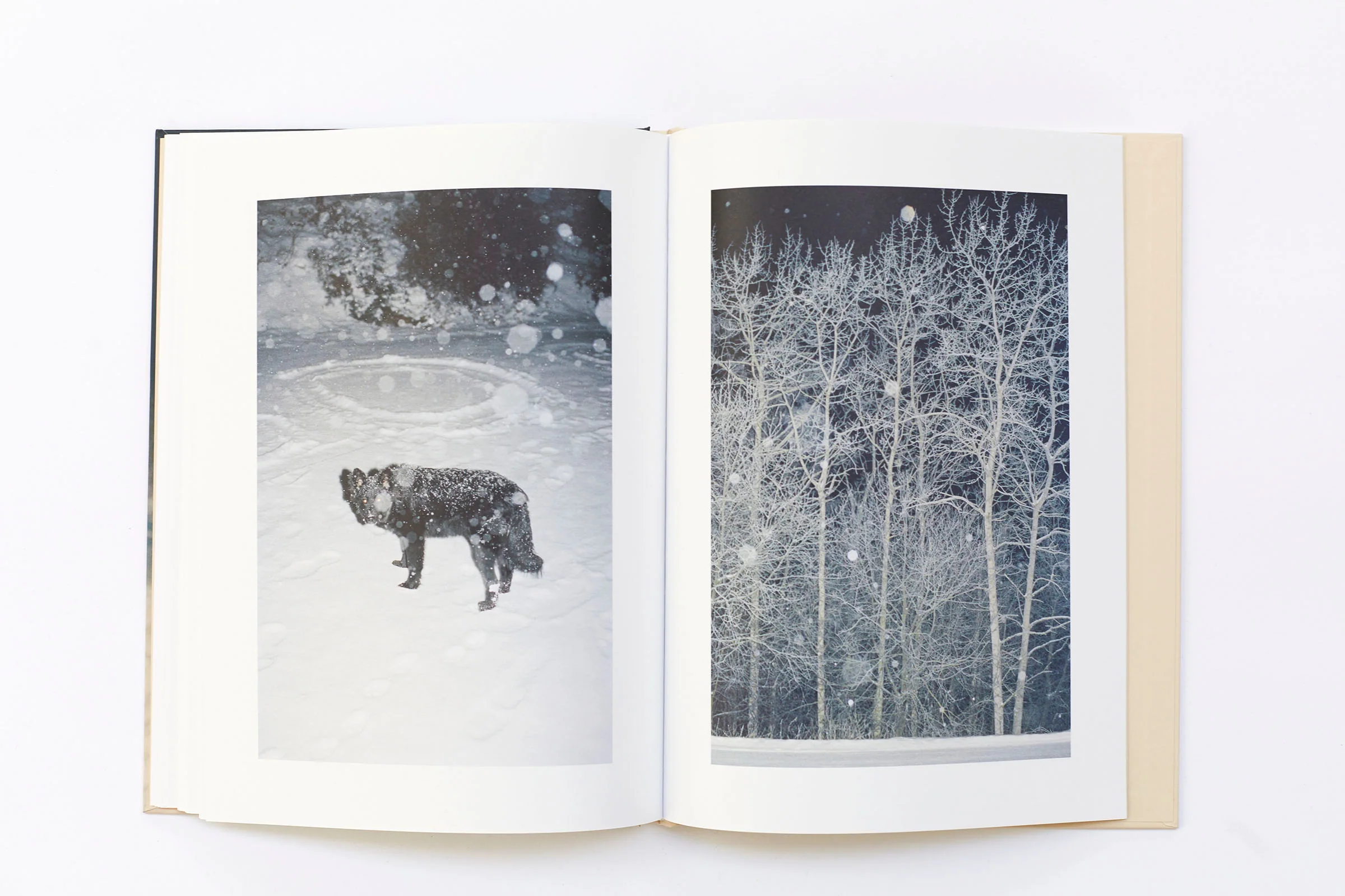 Ola Rindal - Thujord - Image 15