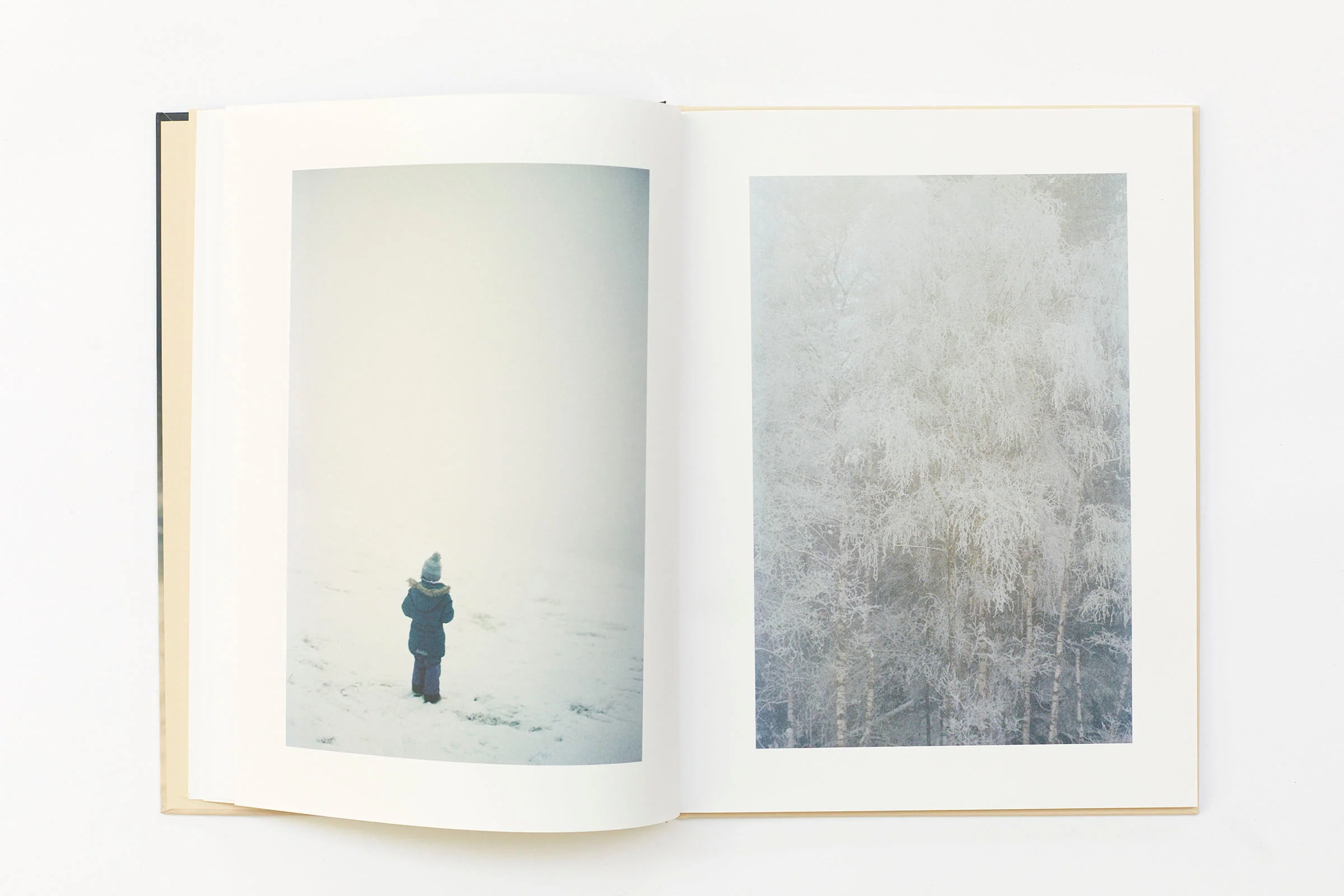 Ola Rindal - Thujord - Image 4