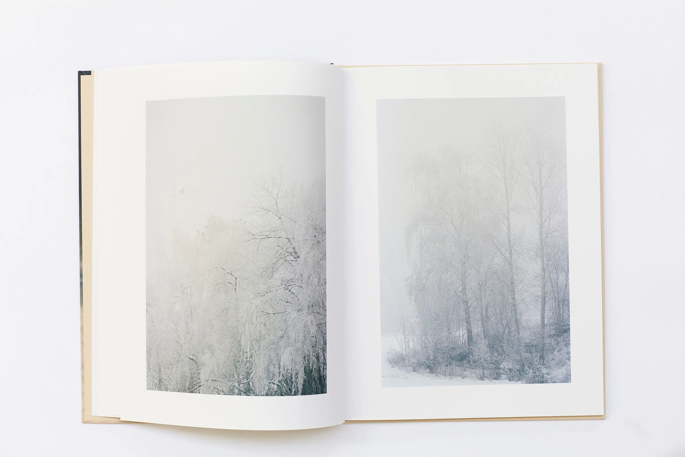 Ola Rindal - Thujord - Image 5