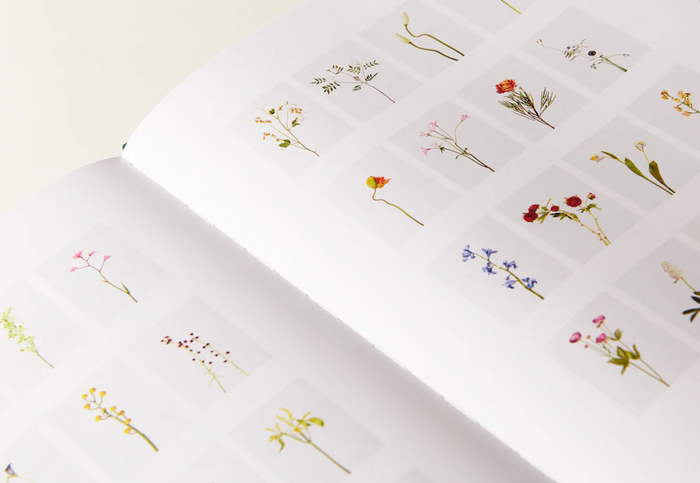 Julie Vallon - Flora Synthetica - Image 3