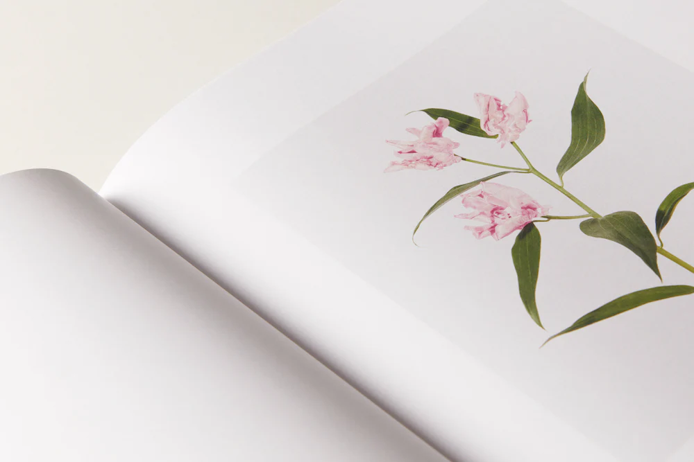 Julie Vallon - Flora Synthetica - Image 4