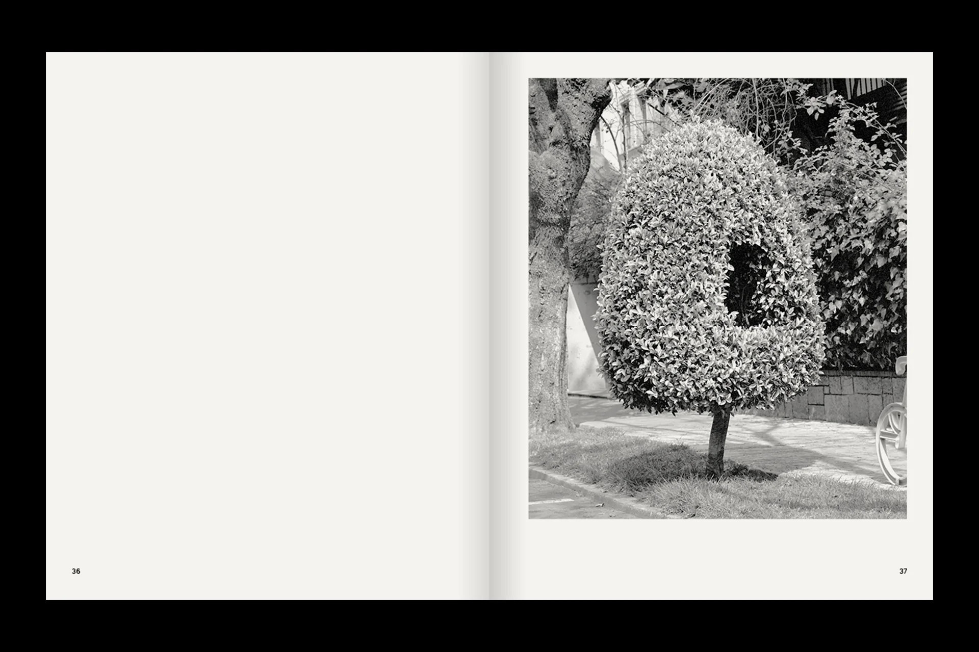 A Guide on Gardening - Image 10
