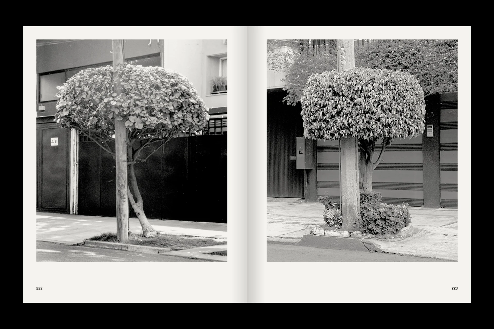 A Guide on Gardening - Image 3