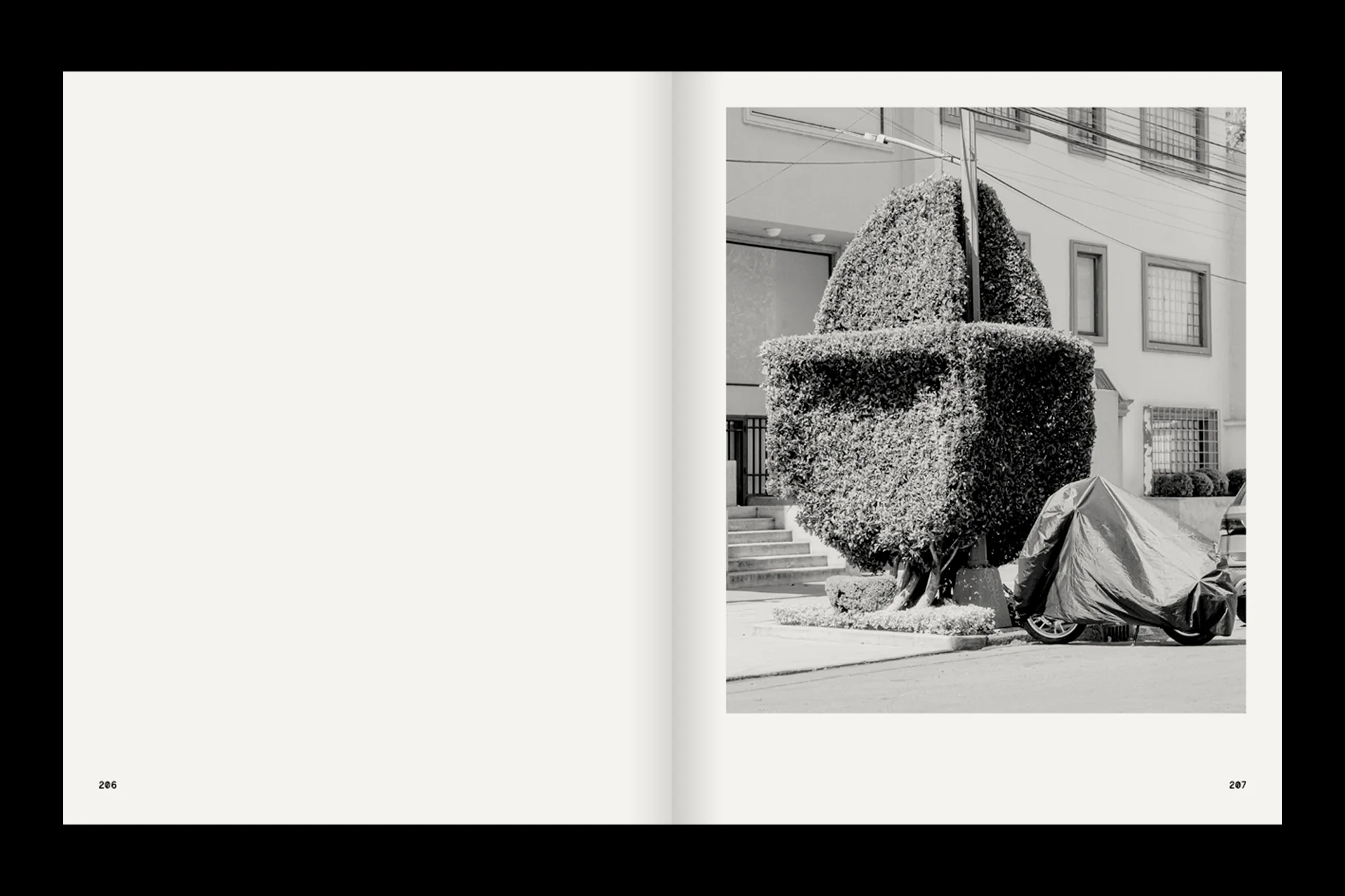 A Guide on Gardening - Image 4