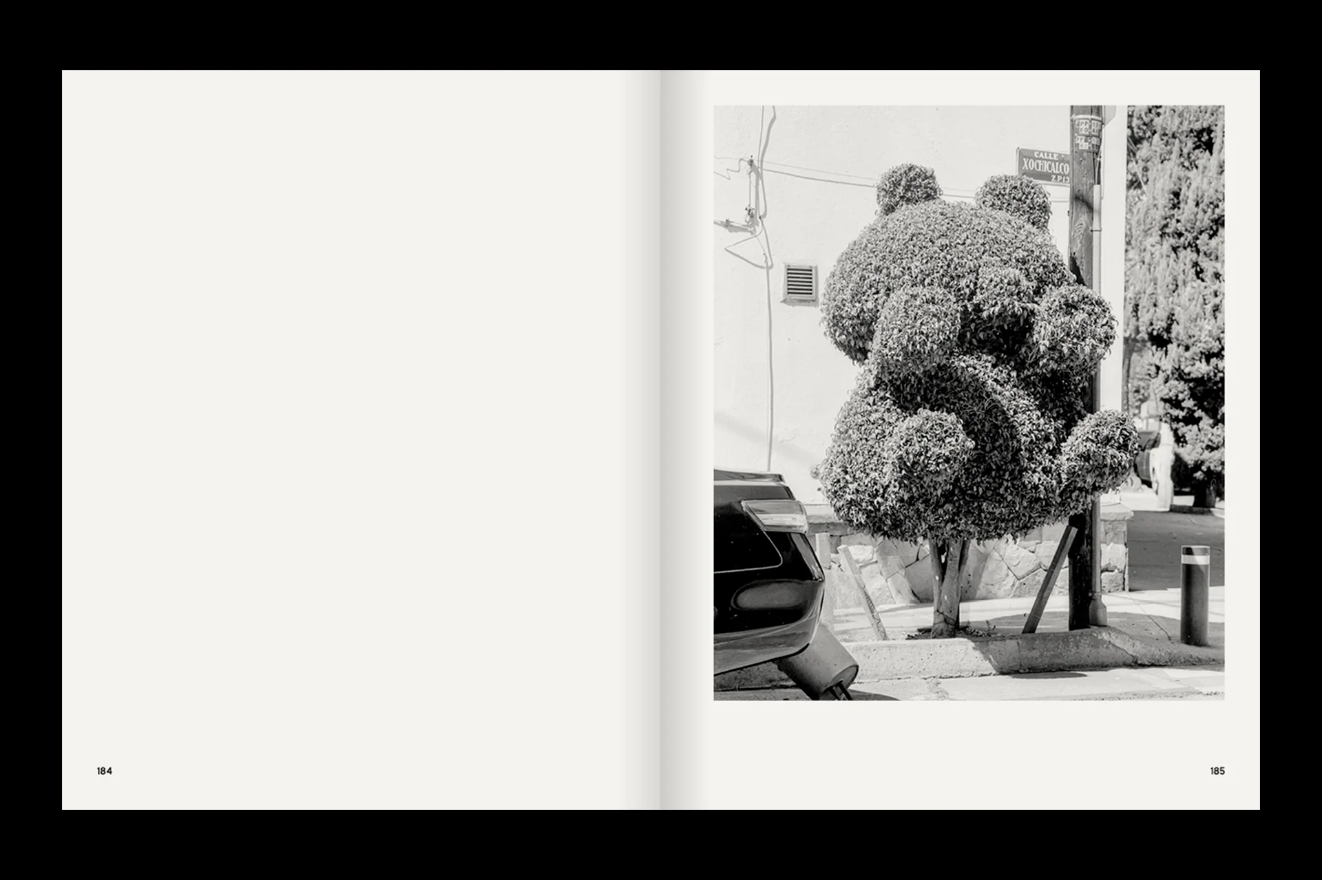 A Guide on Gardening - Image 5