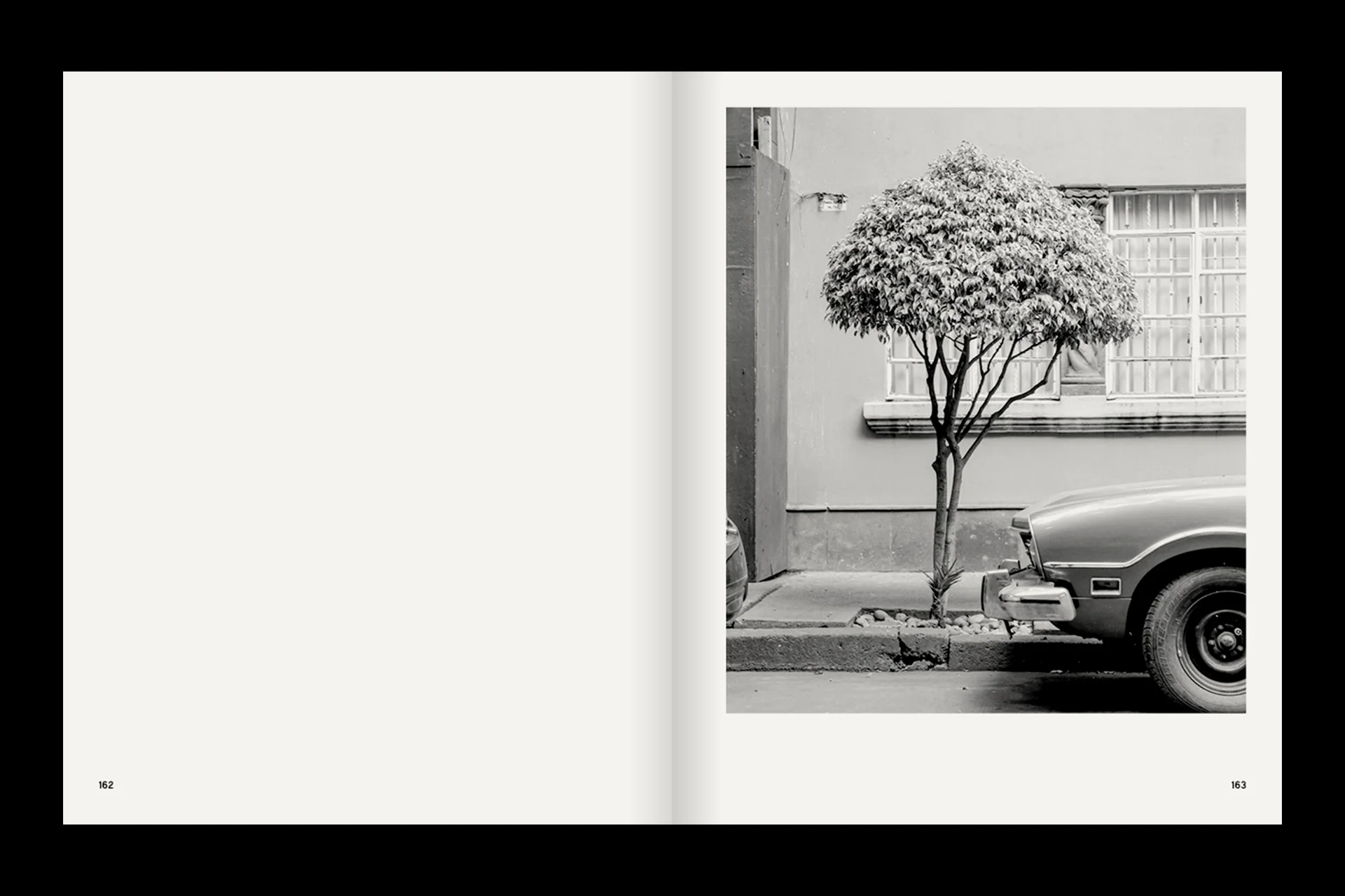A Guide on Gardening - Image 6