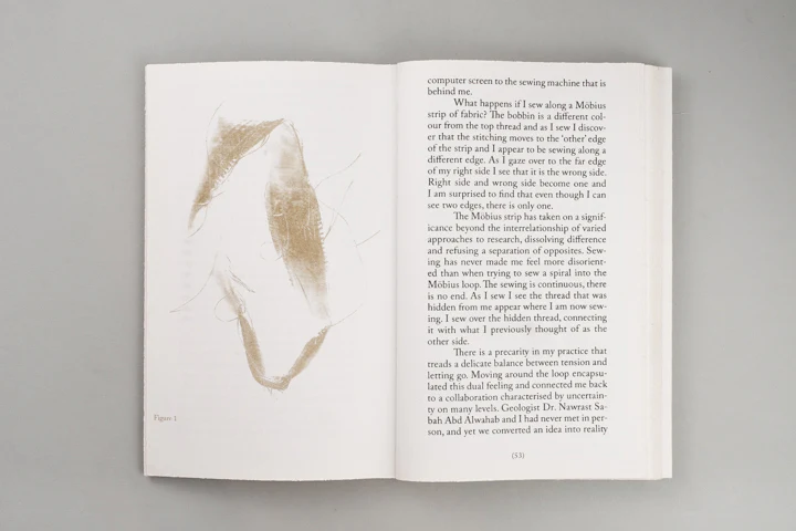 Alice Twemlow, Tânia A. Cardoso - Walking as Research Practice - Image 13