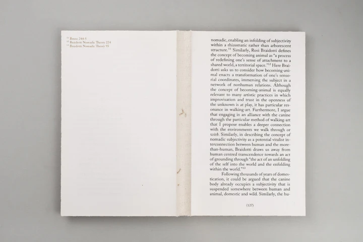 Alice Twemlow, Tânia A. Cardoso - Walking as Research Practice - Image 15