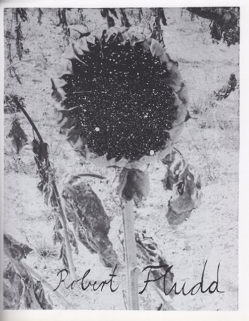 Anselm Kiefer - Cette obscure clarté qui tombe des étoiles - Image 2