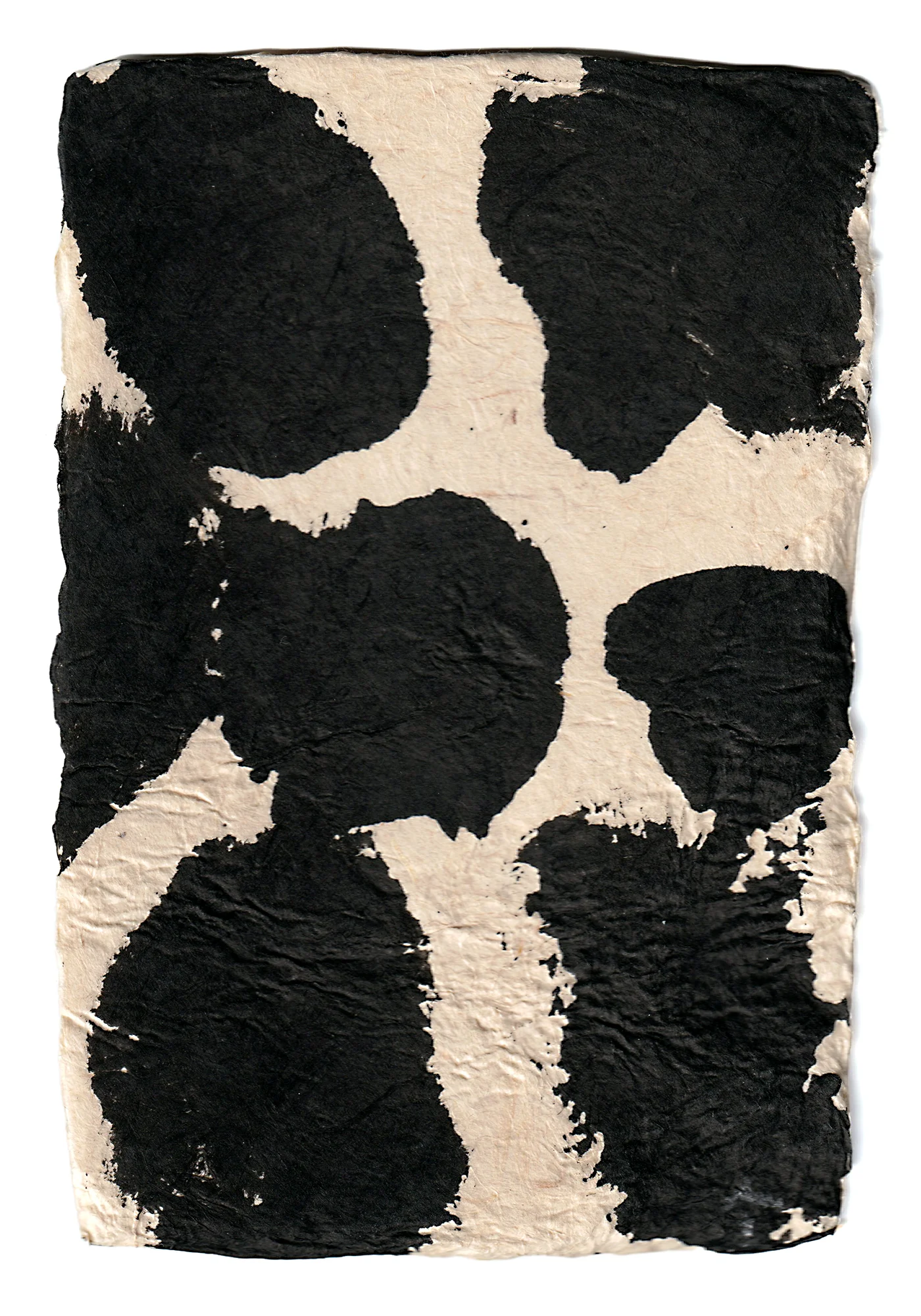 Aona Hayashi - CARTA - Image 14