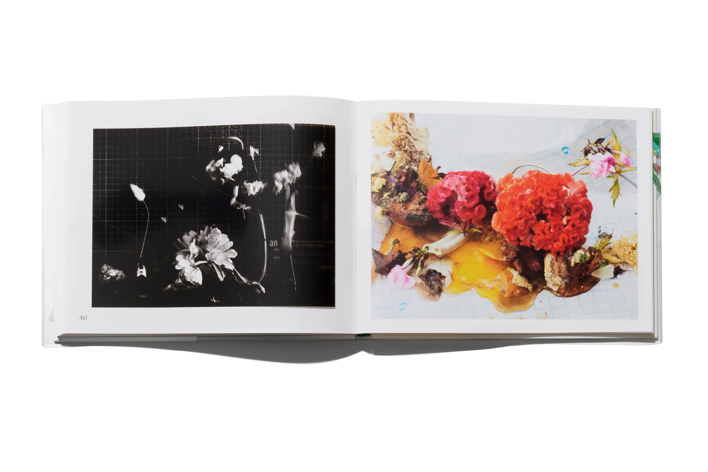 Arnaud Lajeunie - Flowers - Image 10