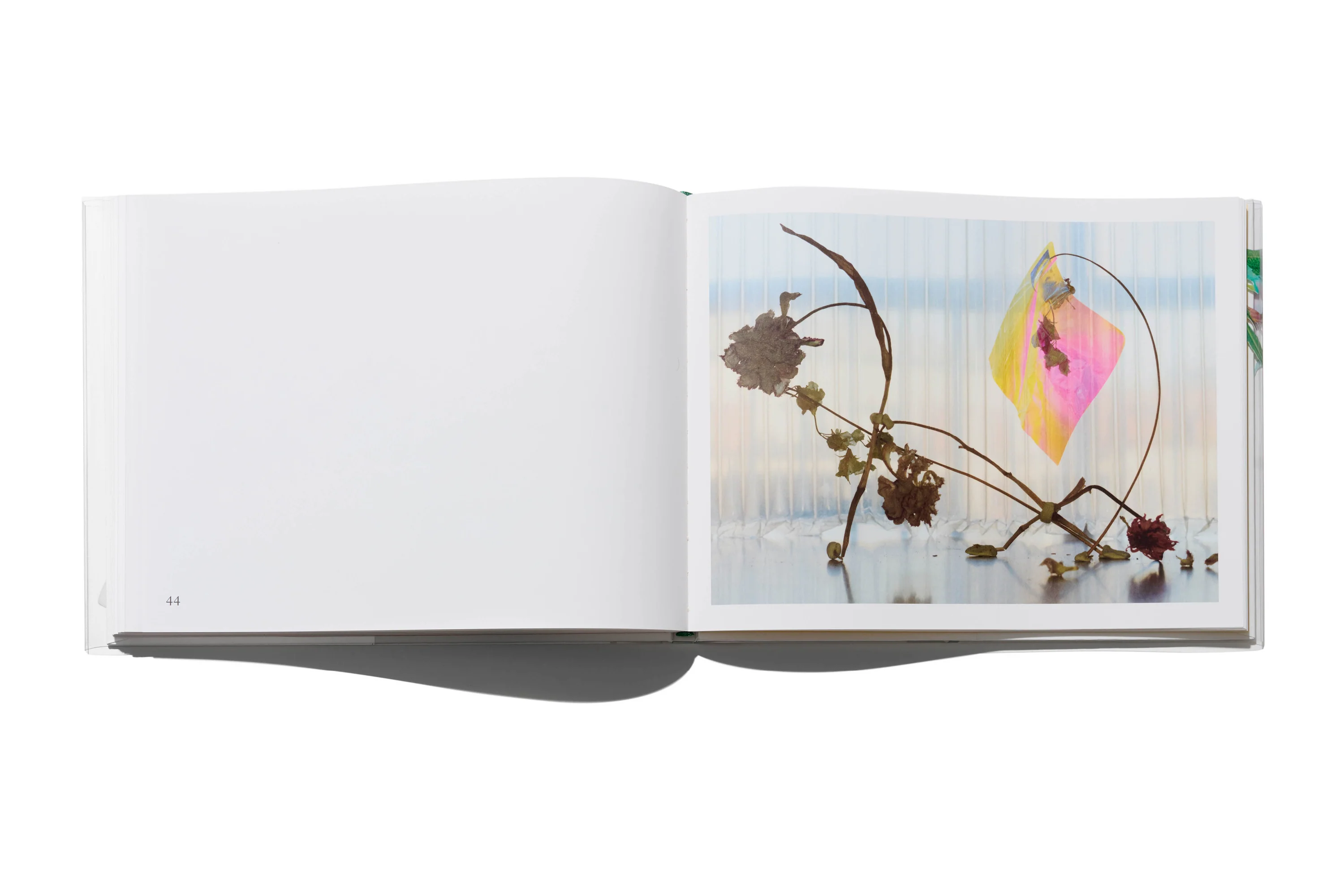 Arnaud Lajeunie - Flowers - Image 11