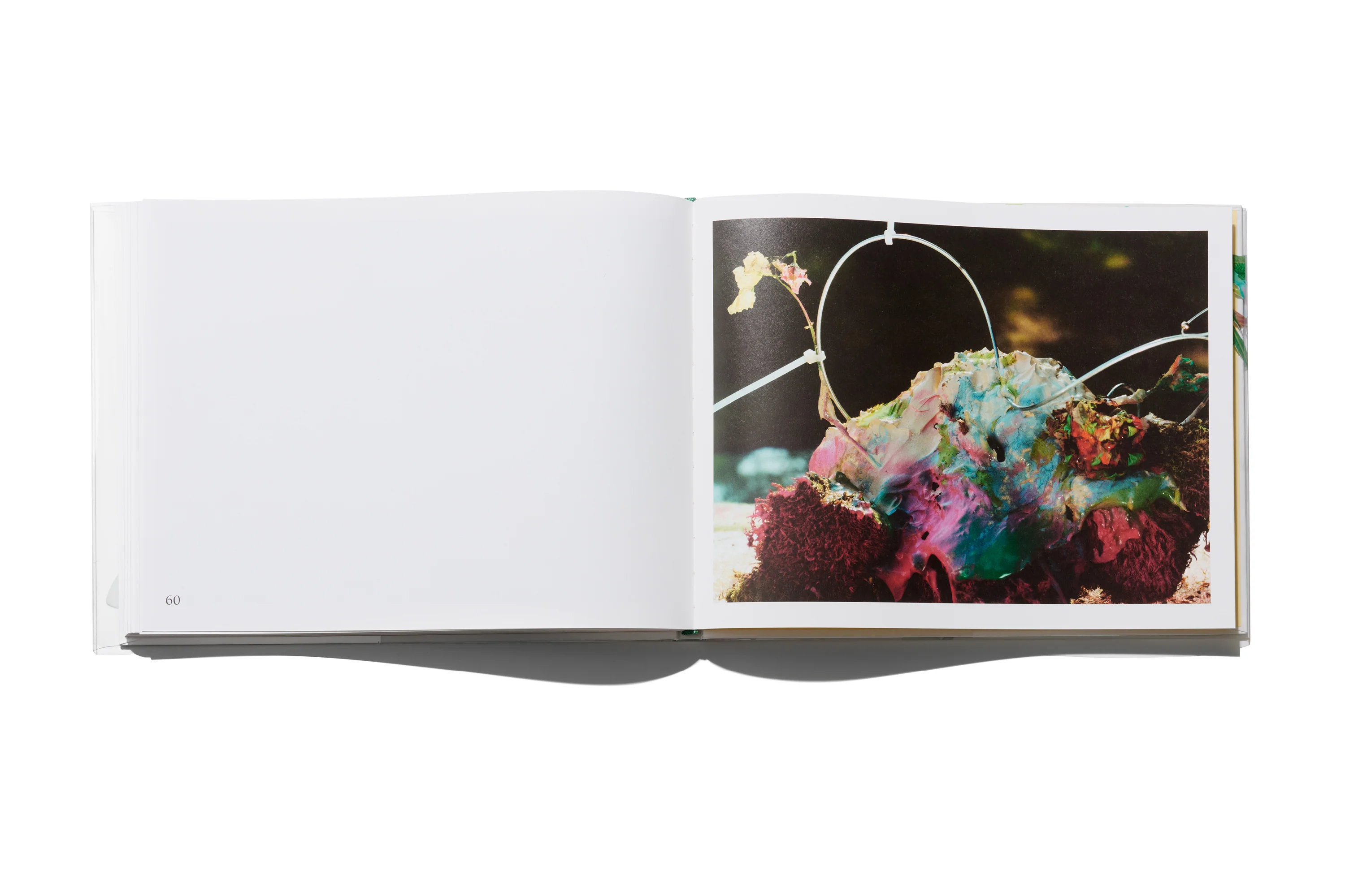 Arnaud Lajeunie - Flowers - Image 12