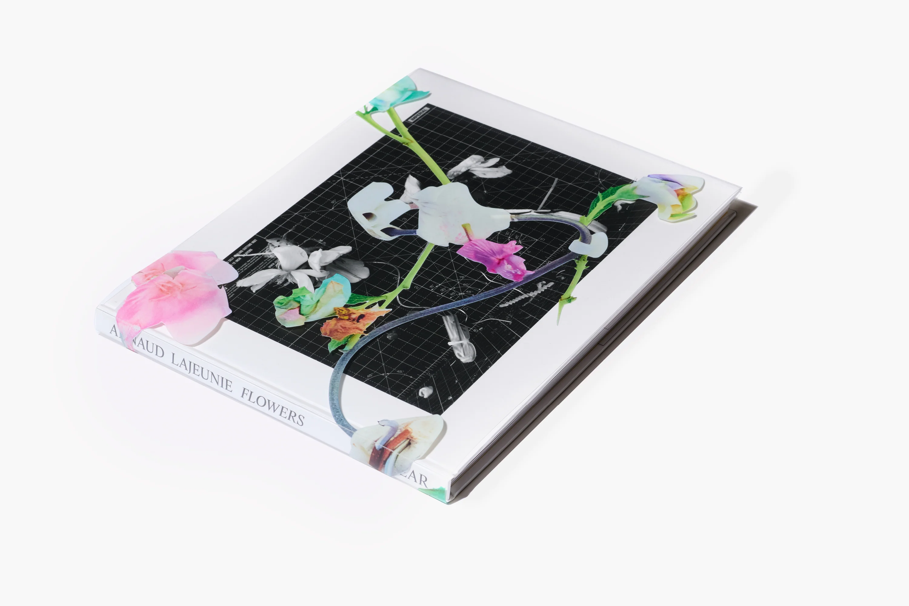 Arnaud Lajeunie - Flowers - Image 13