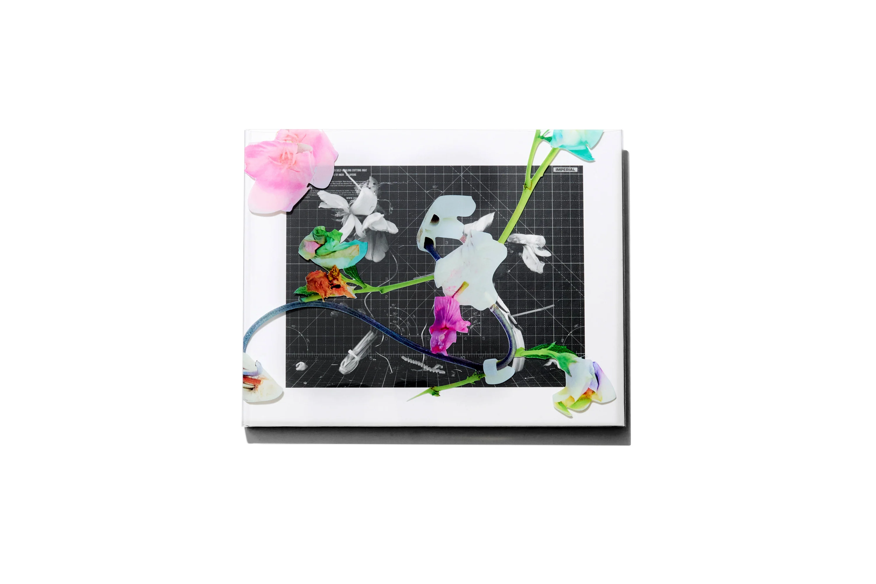 Arnaud Lajeunie - Flowers - Image 2