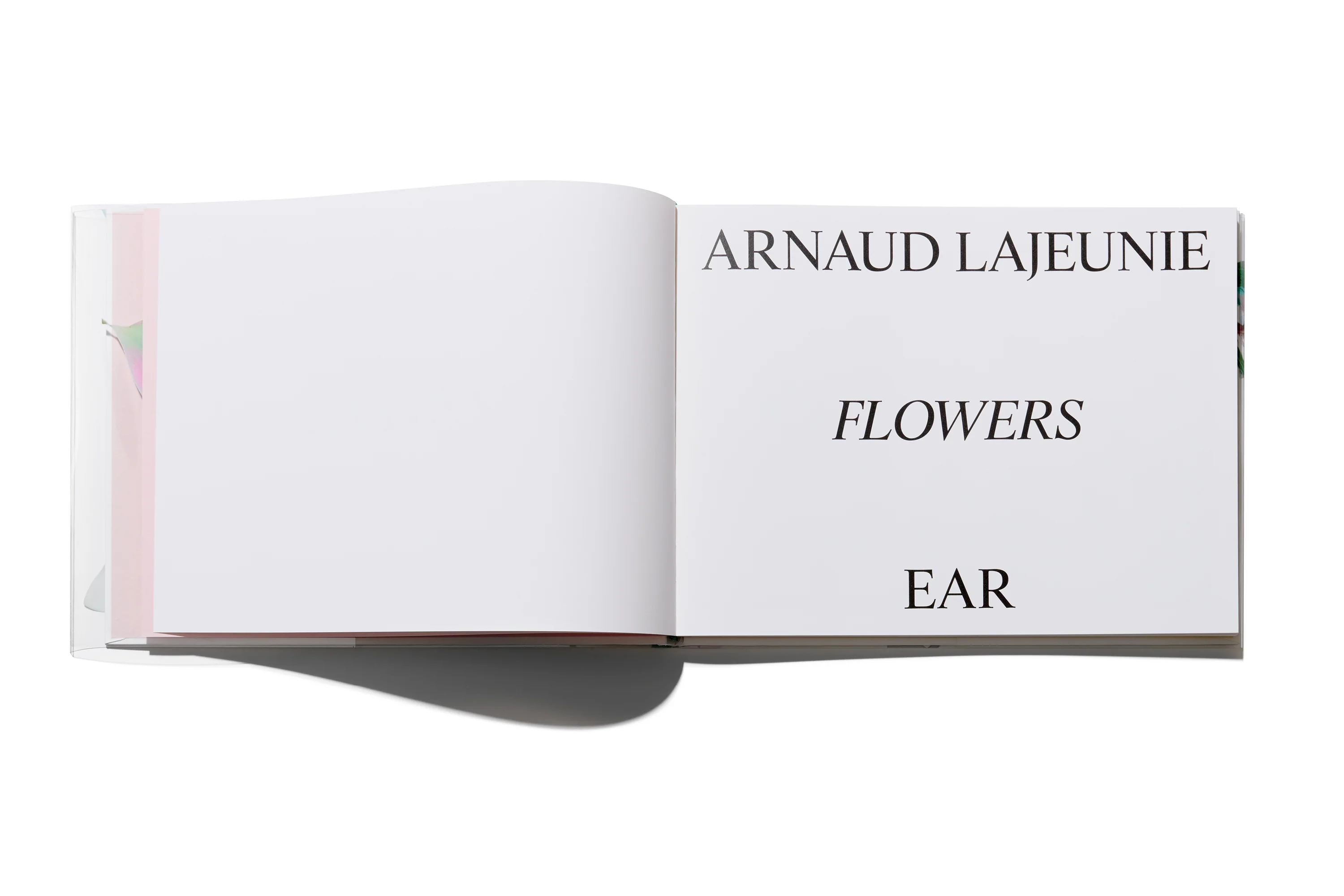 Arnaud Lajeunie - Flowers - Image 3