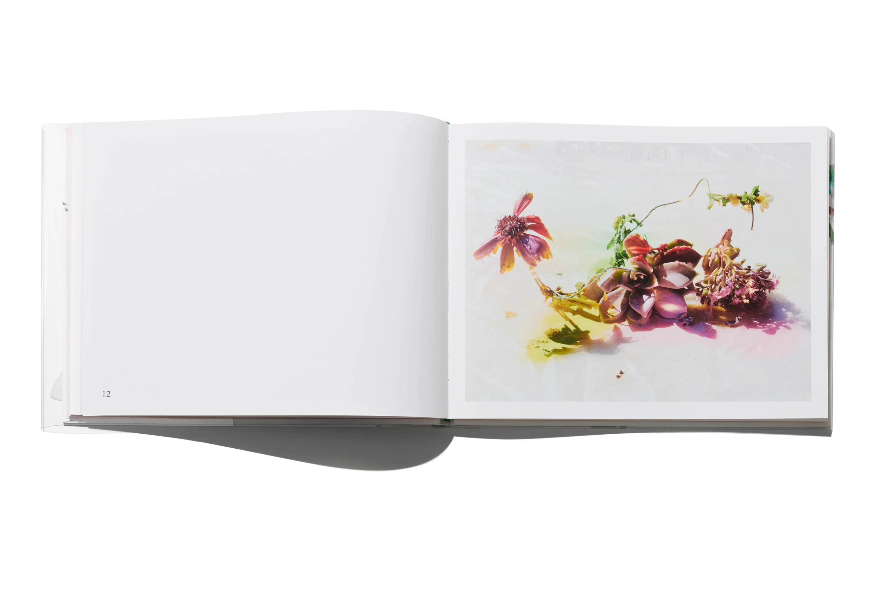 Arnaud Lajeunie - Flowers - Image 4