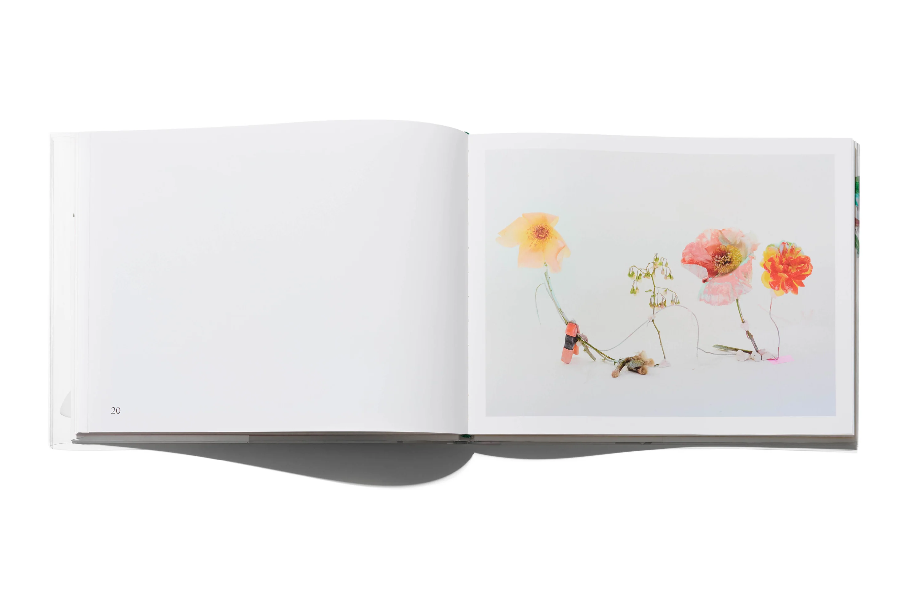 Arnaud Lajeunie - Flowers - Image 5