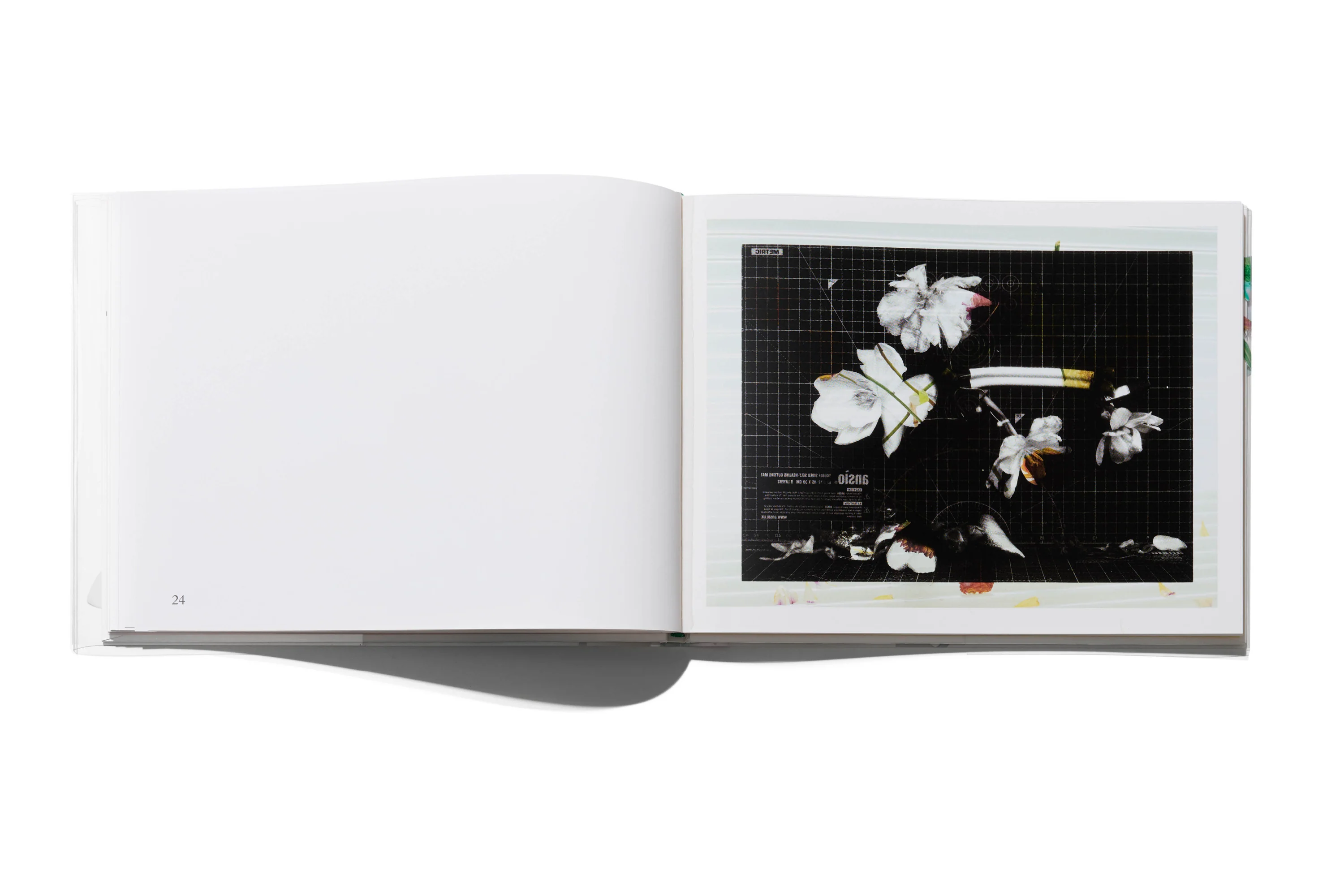 Arnaud Lajeunie - Flowers - Image 6