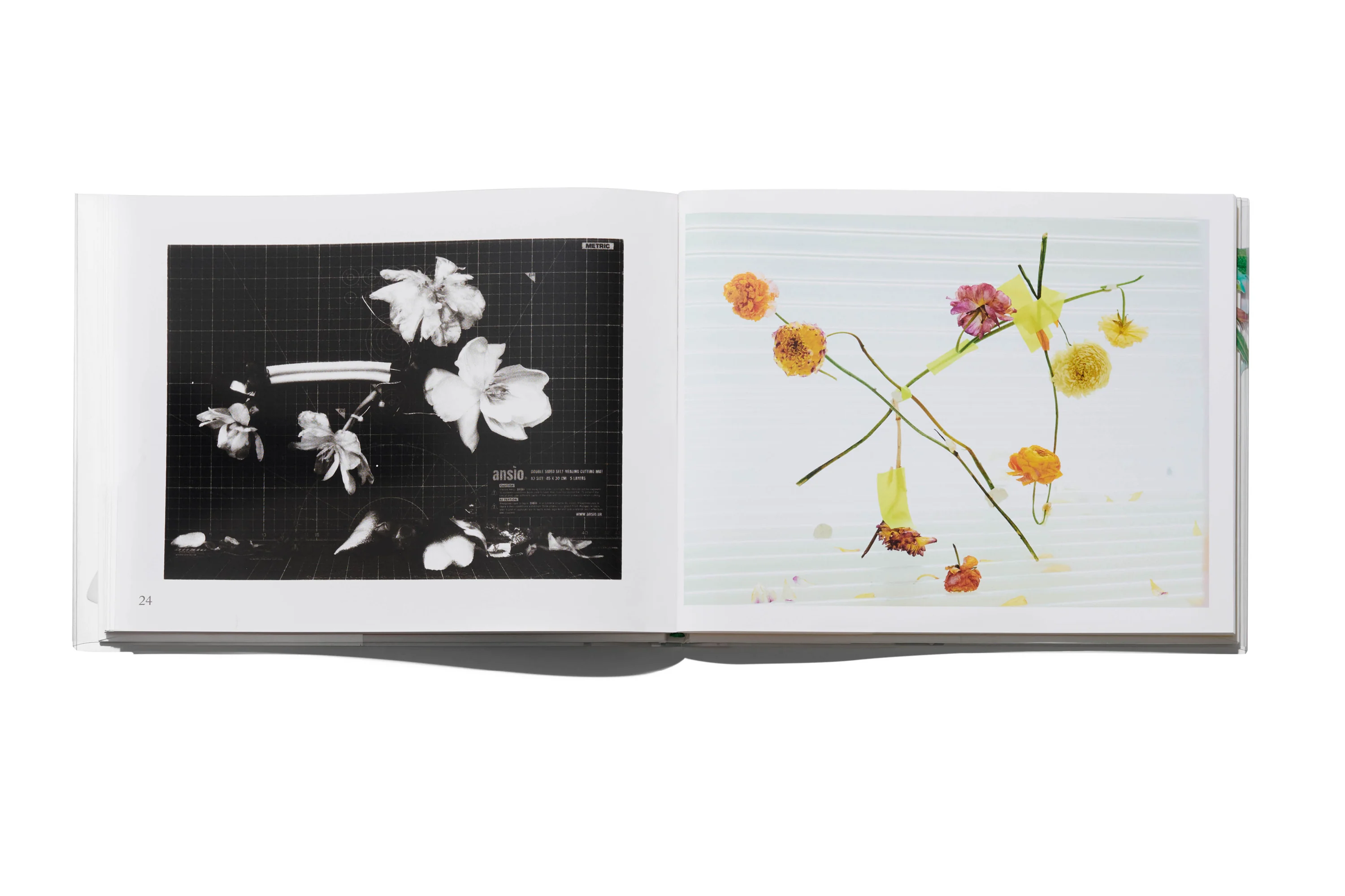 Arnaud Lajeunie - Flowers - Image 7