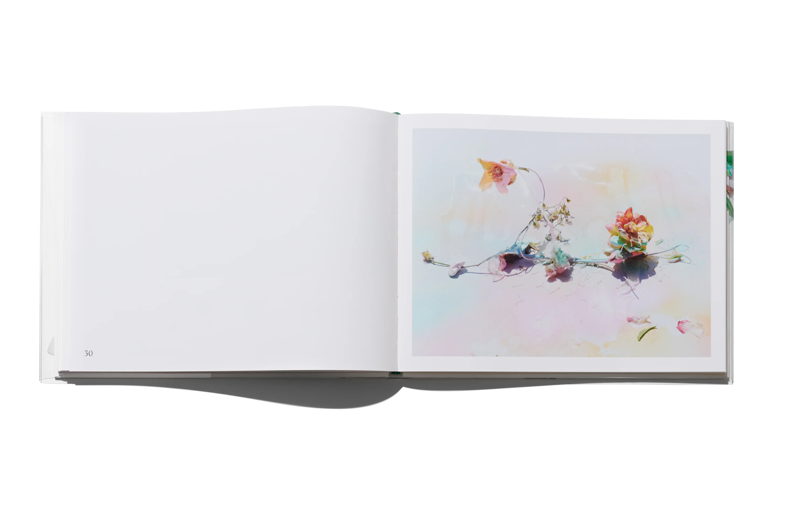 Arnaud Lajeunie - Flowers - Image 8