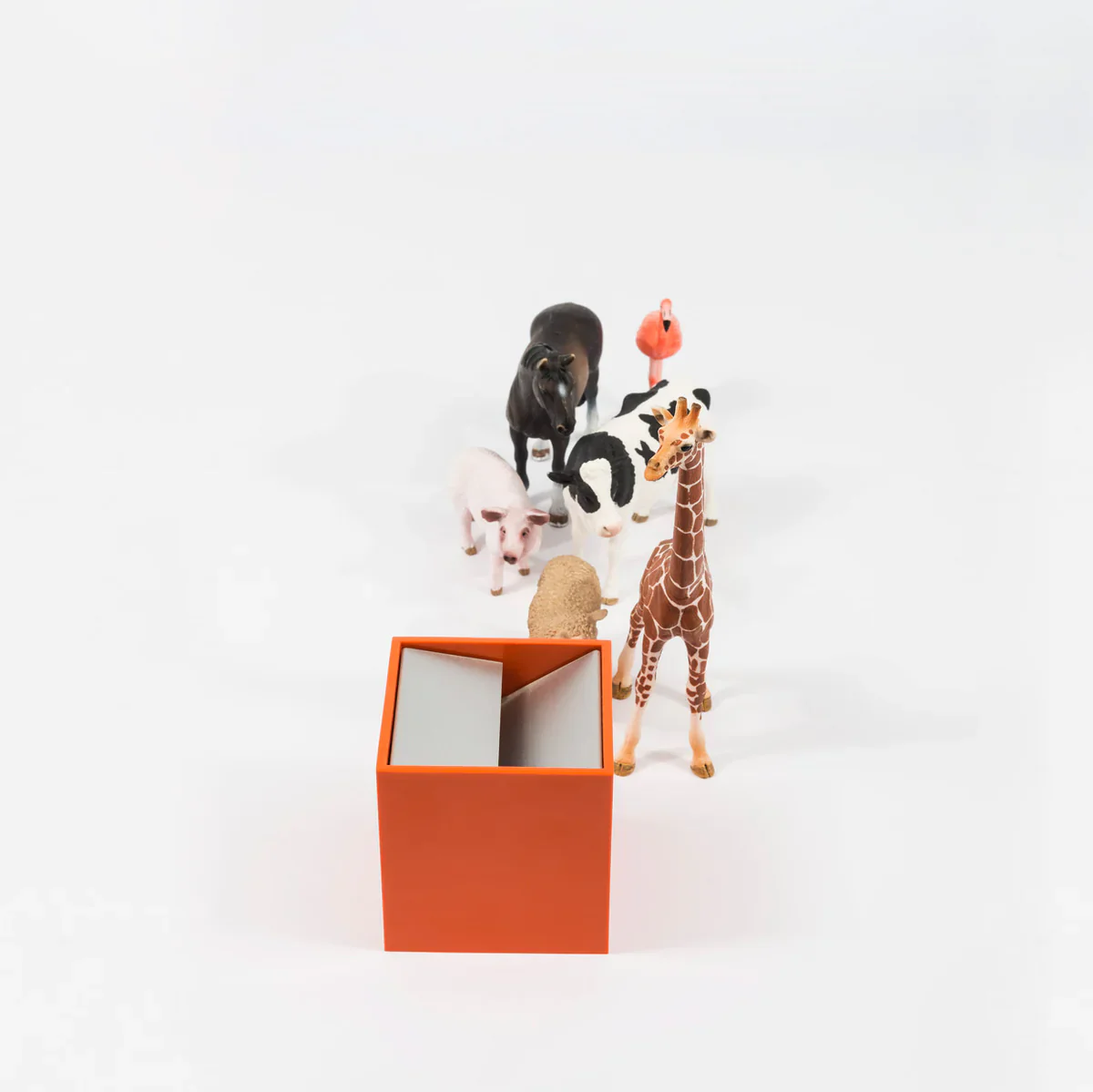 Bruno Munari - Cubo - Image 5