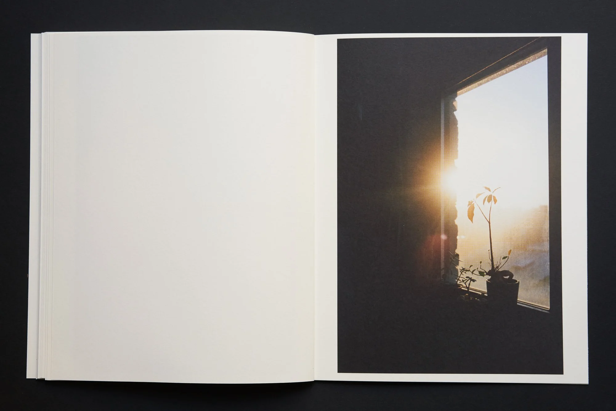 Christian André Strand - Great American Eclipse - Image 6