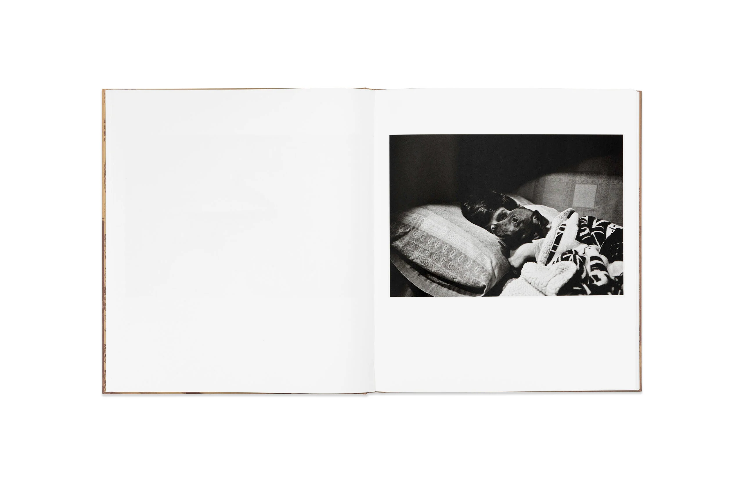 Ciro Battiloro - Silence is a gift - Image 5