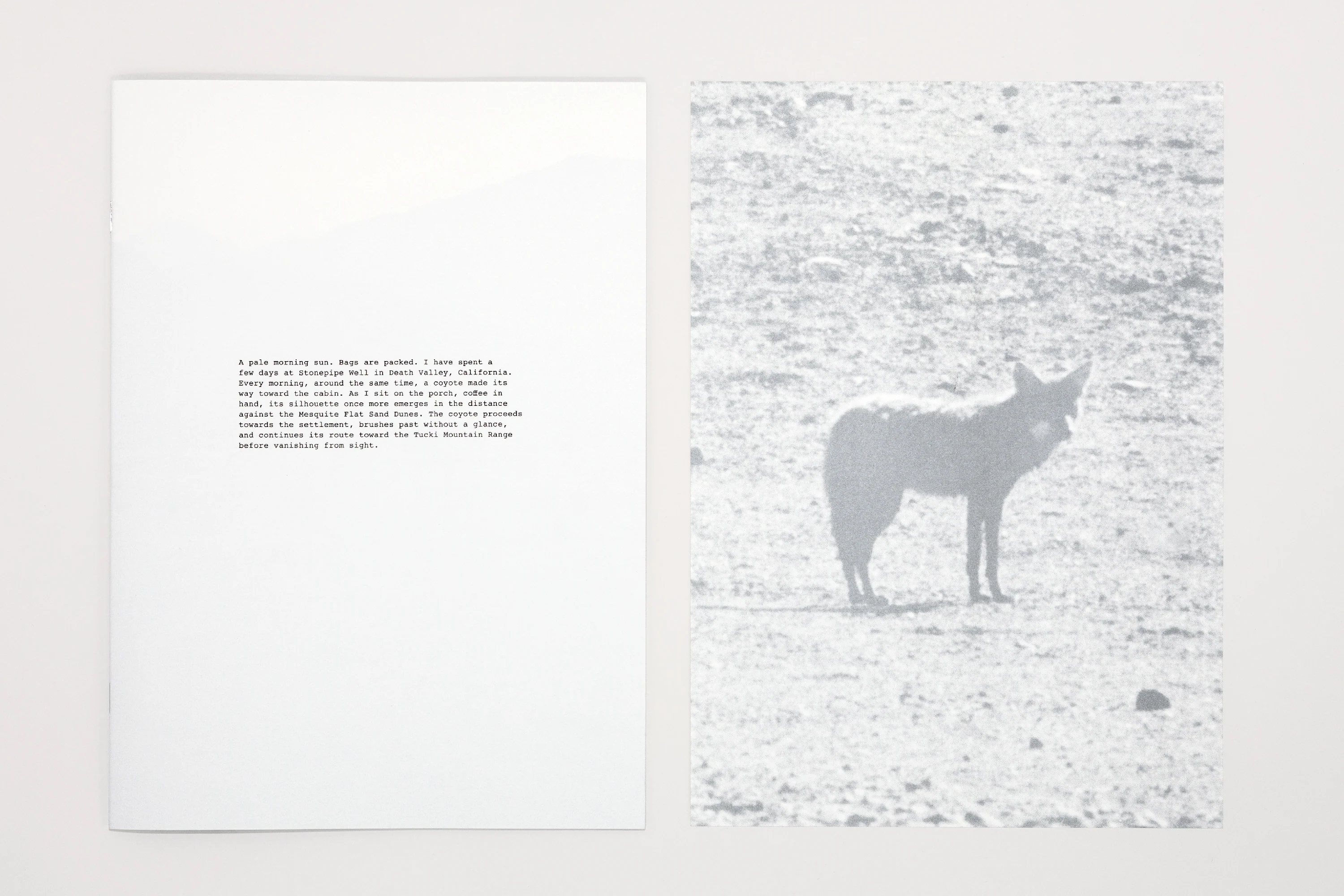 Daniel Gustav Cramer - Fox & Coyote - Image 14