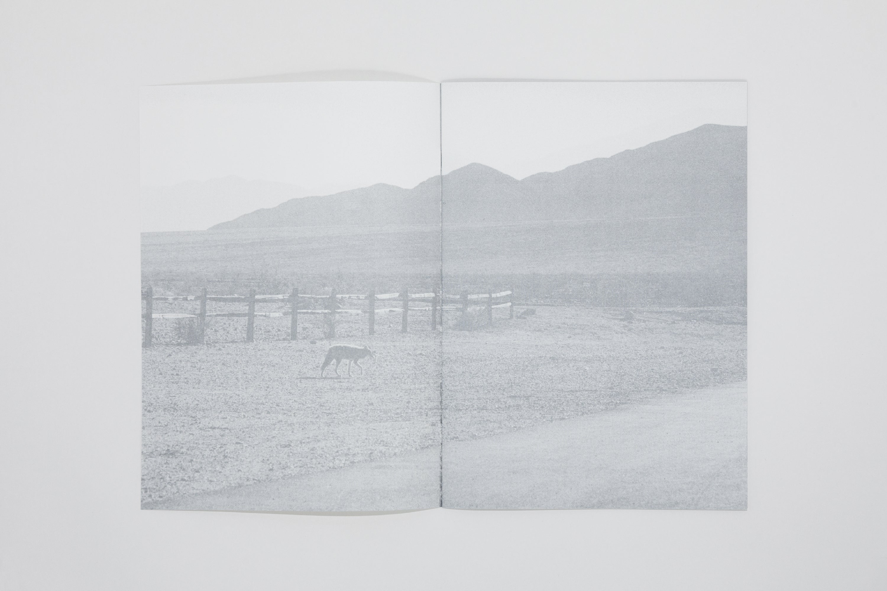 Daniel Gustav Cramer - Fox & Coyote - Image 3