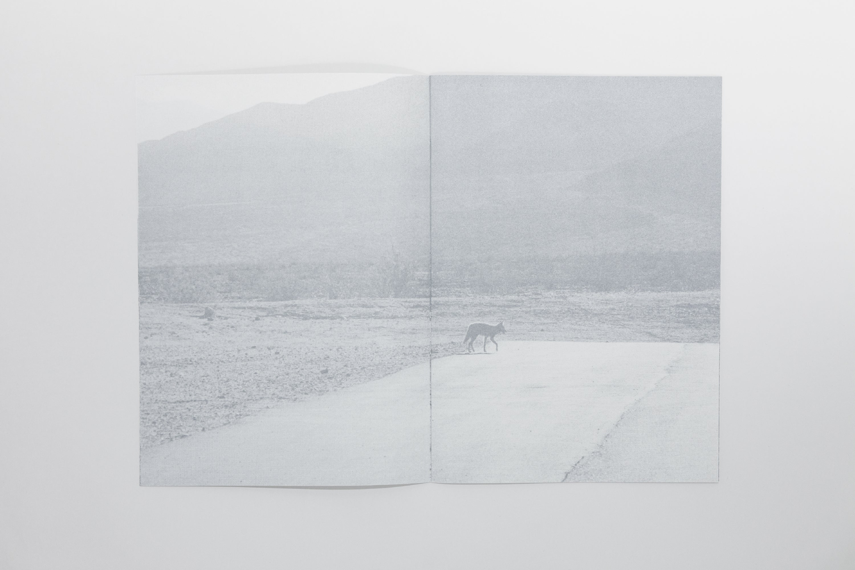 Daniel Gustav Cramer - Fox & Coyote - Image 5