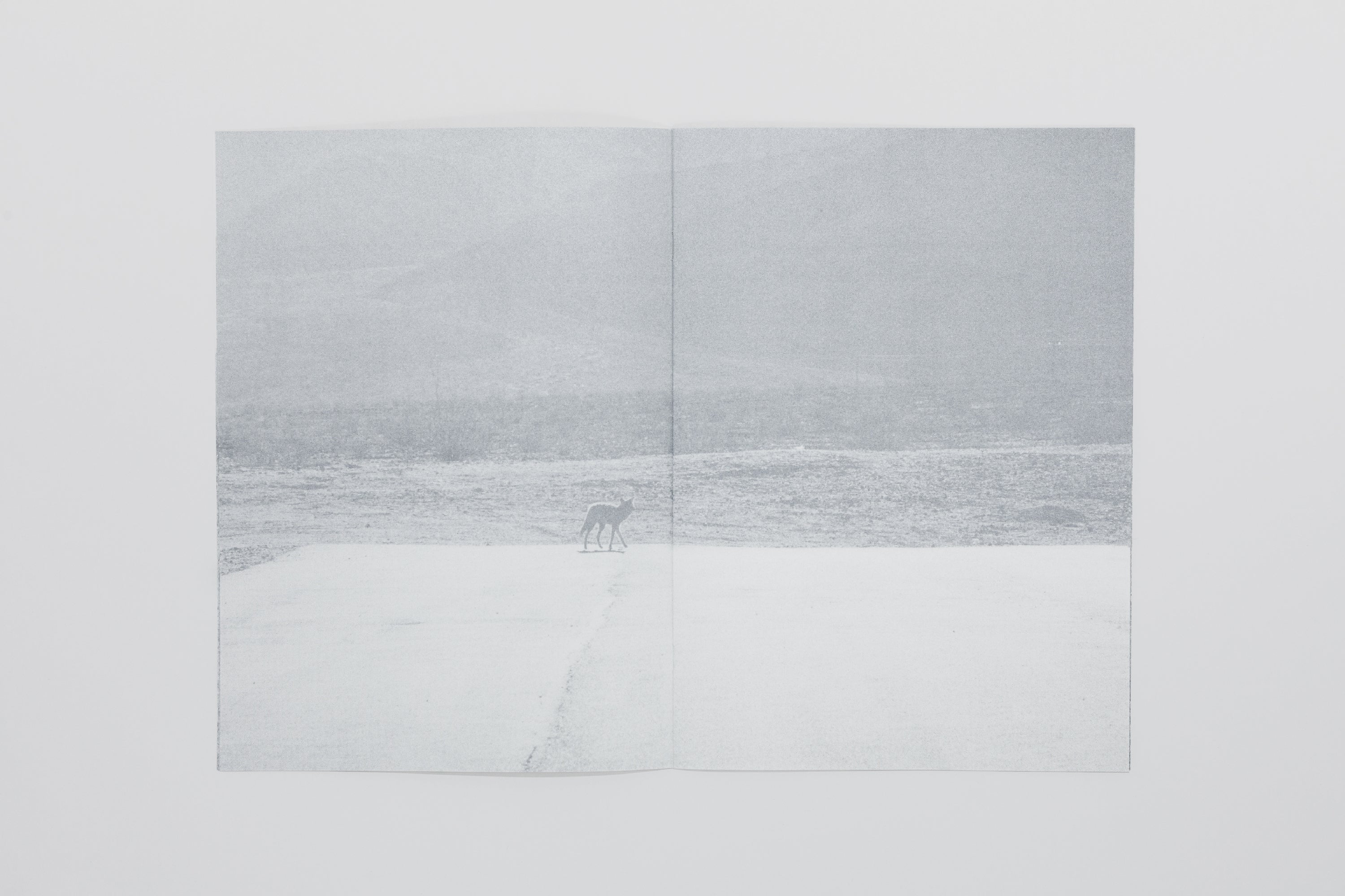 Daniel Gustav Cramer - Fox & Coyote - Image 6