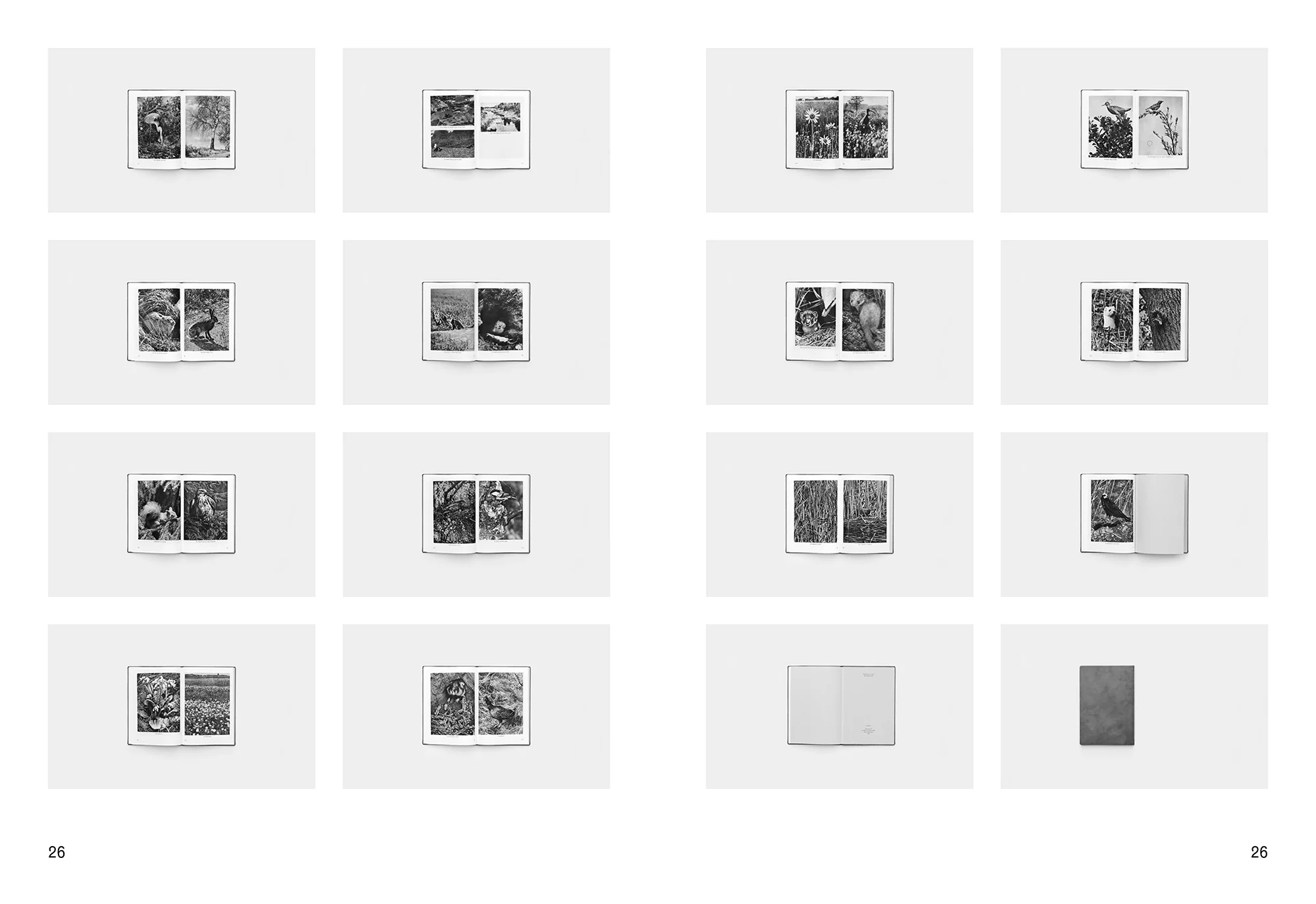 Daniel Gustav Cramer & Haris Epaminonda - The Infinite Library: Books 1-50 - Image 18