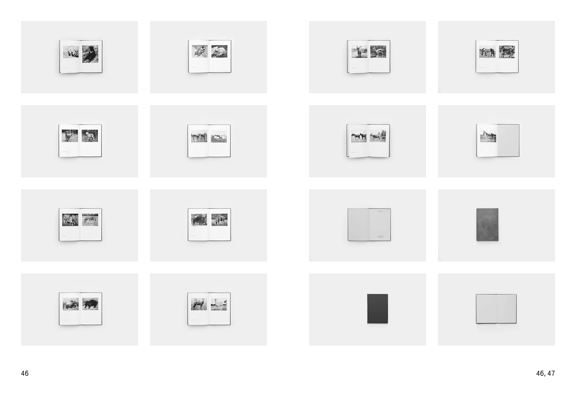 Daniel Gustav Cramer & Haris Epaminonda - The Infinite Library: Books 1-50 - Image 24