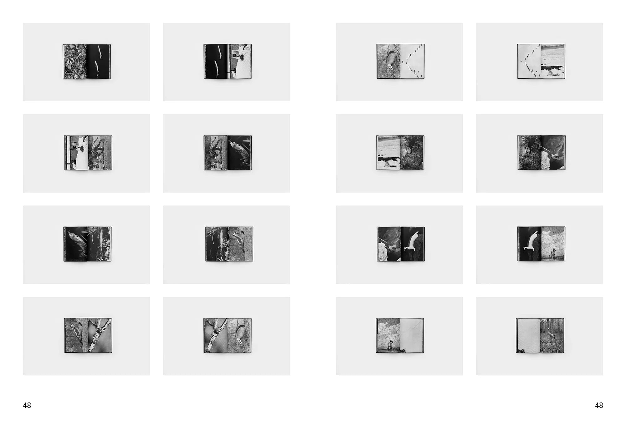 Daniel Gustav Cramer & Haris Epaminonda - The Infinite Library: Books 1-50 - Image 25