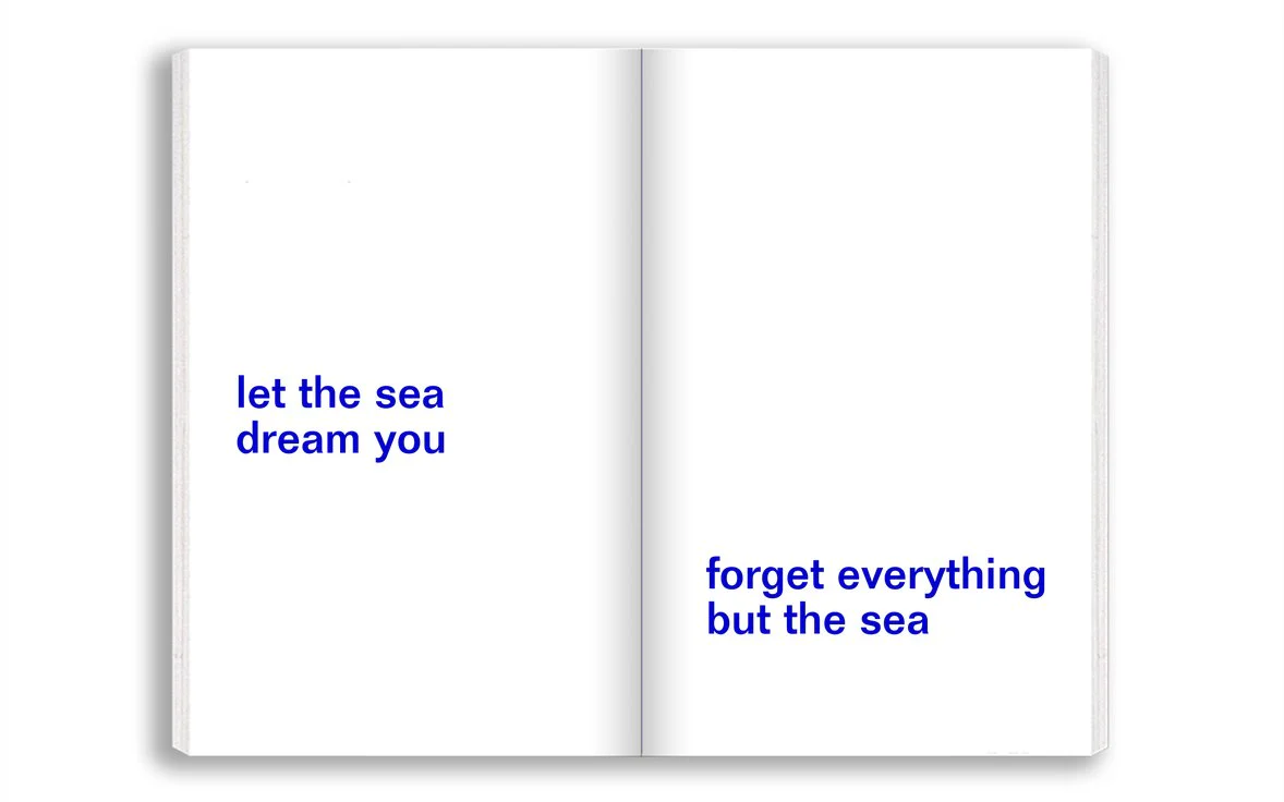 David Horvitz - Emporte la mer avec toi / Adjust the level of the sea - Image 4