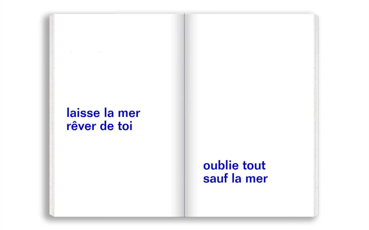 David Horvitz - Emporte la mer avec toi / Adjust the level of the sea - Image 7
