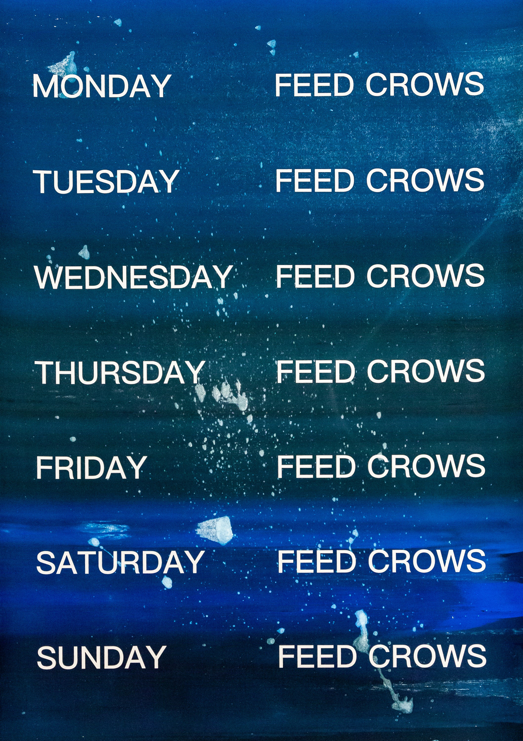 David Horvitz - Feed Crows (Print) - Image 11