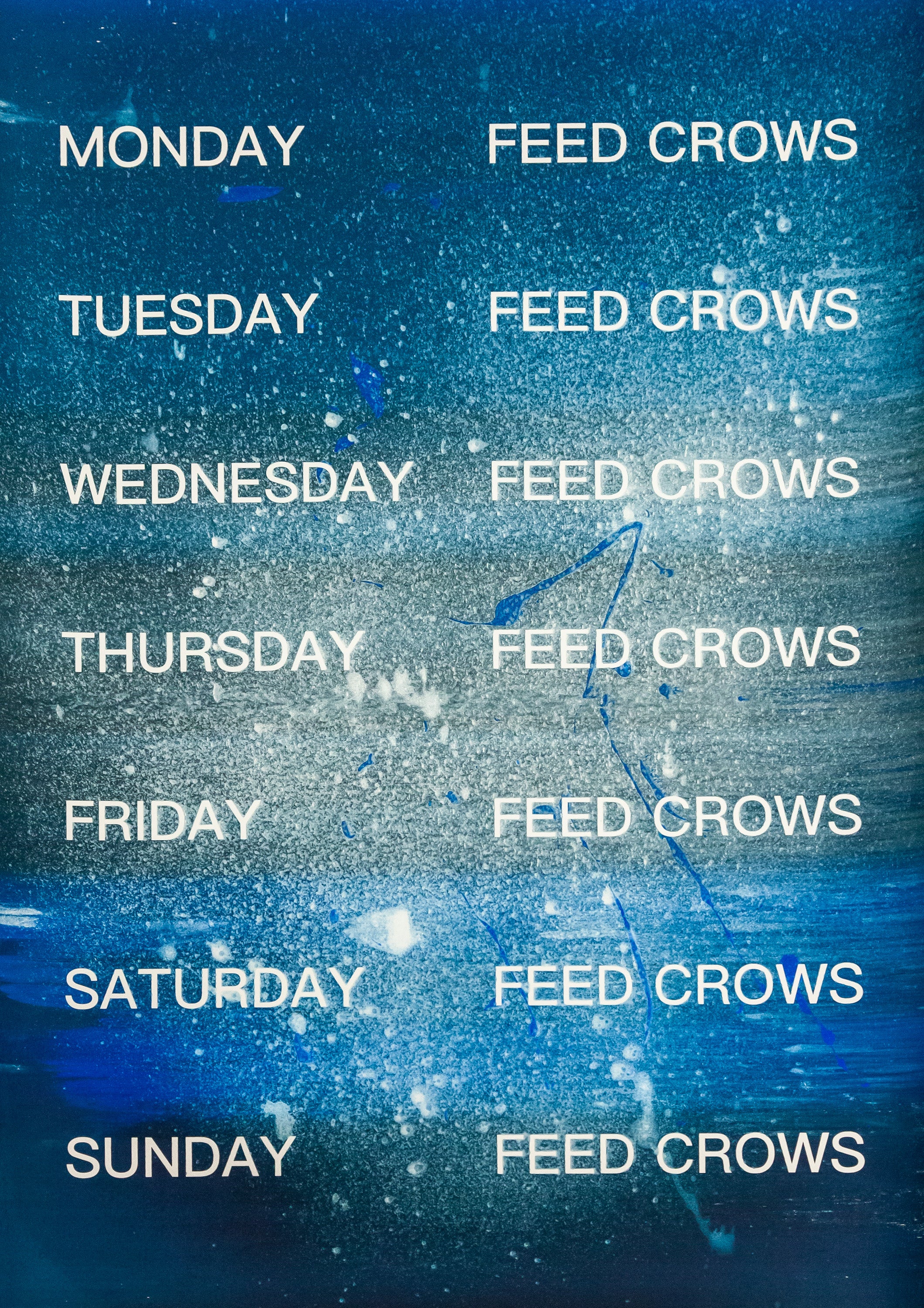 David Horvitz - Feed Crows (Print) - Image 13