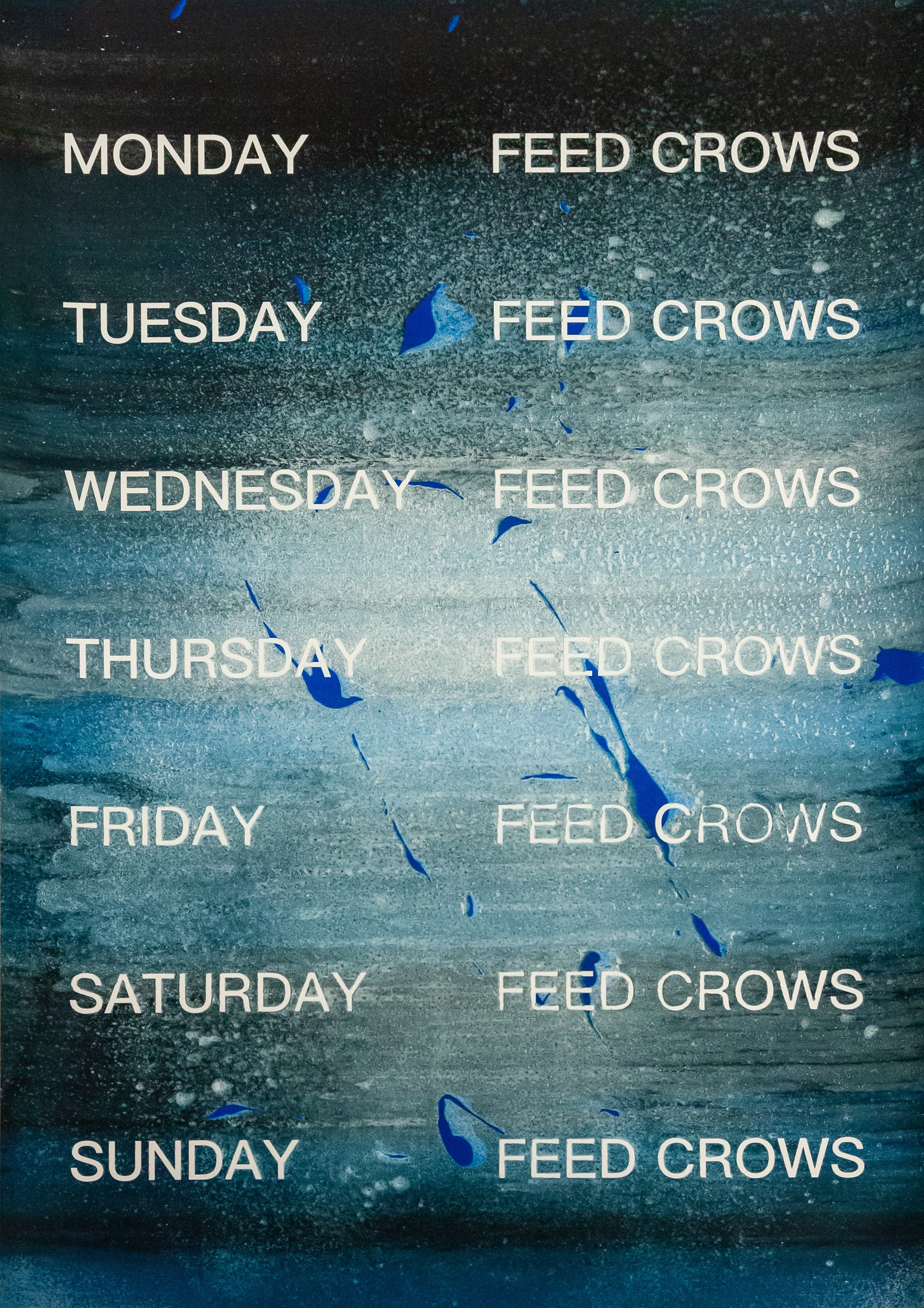 David Horvitz - Feed Crows (Print) - Image 14