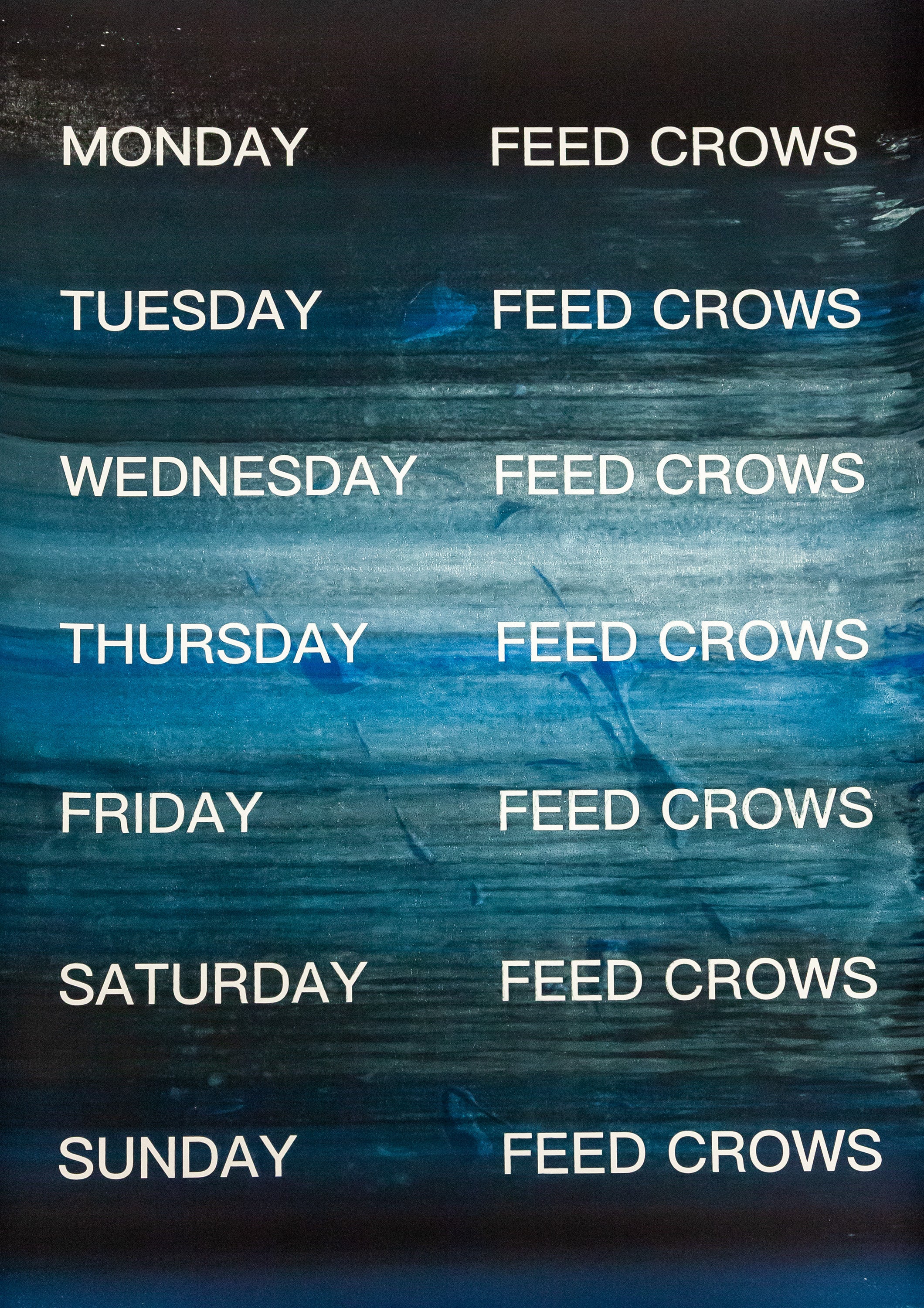 David Horvitz - Feed Crows (Print) - Image 15