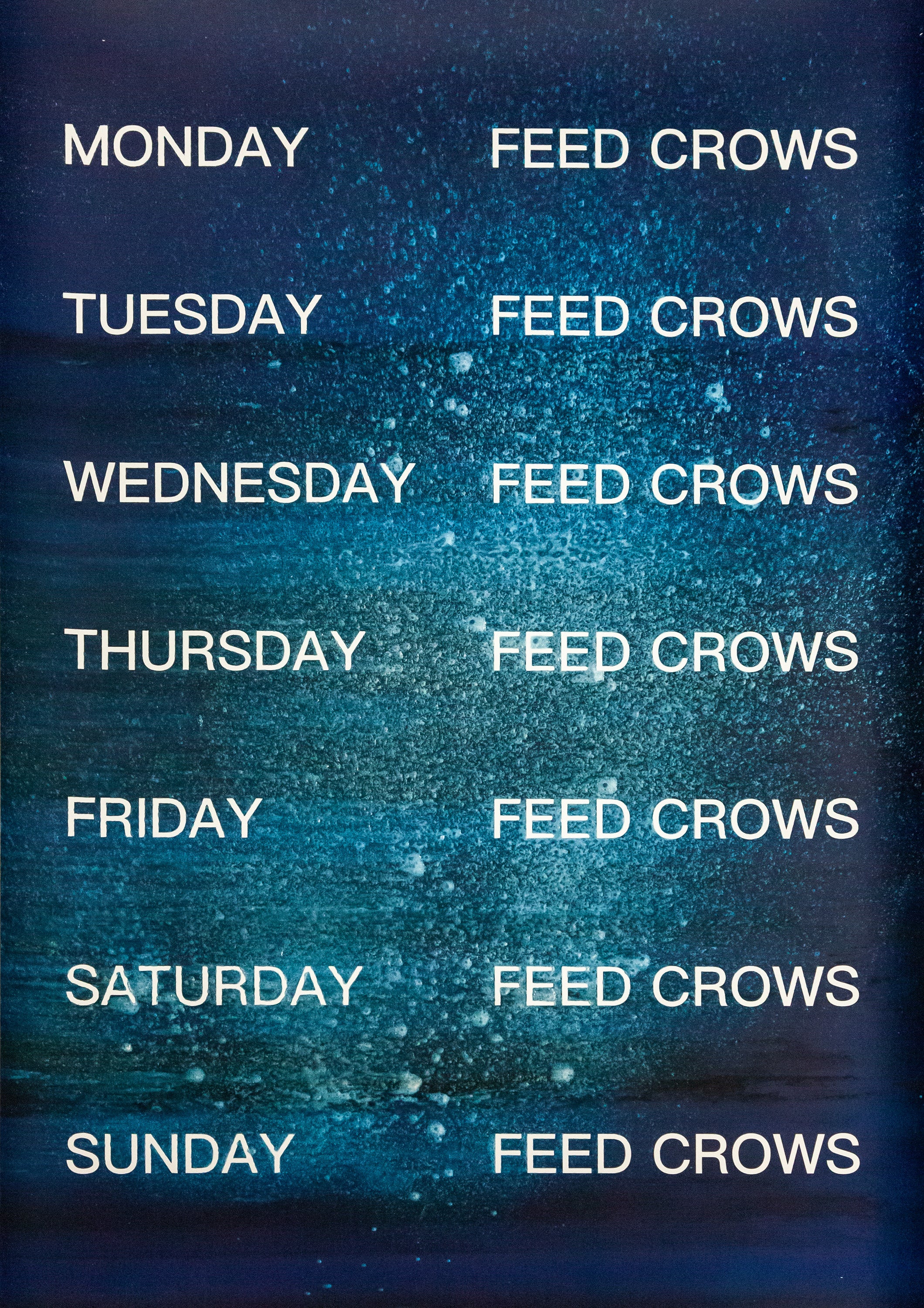 David Horvitz - Feed Crows (Print) - Image 17