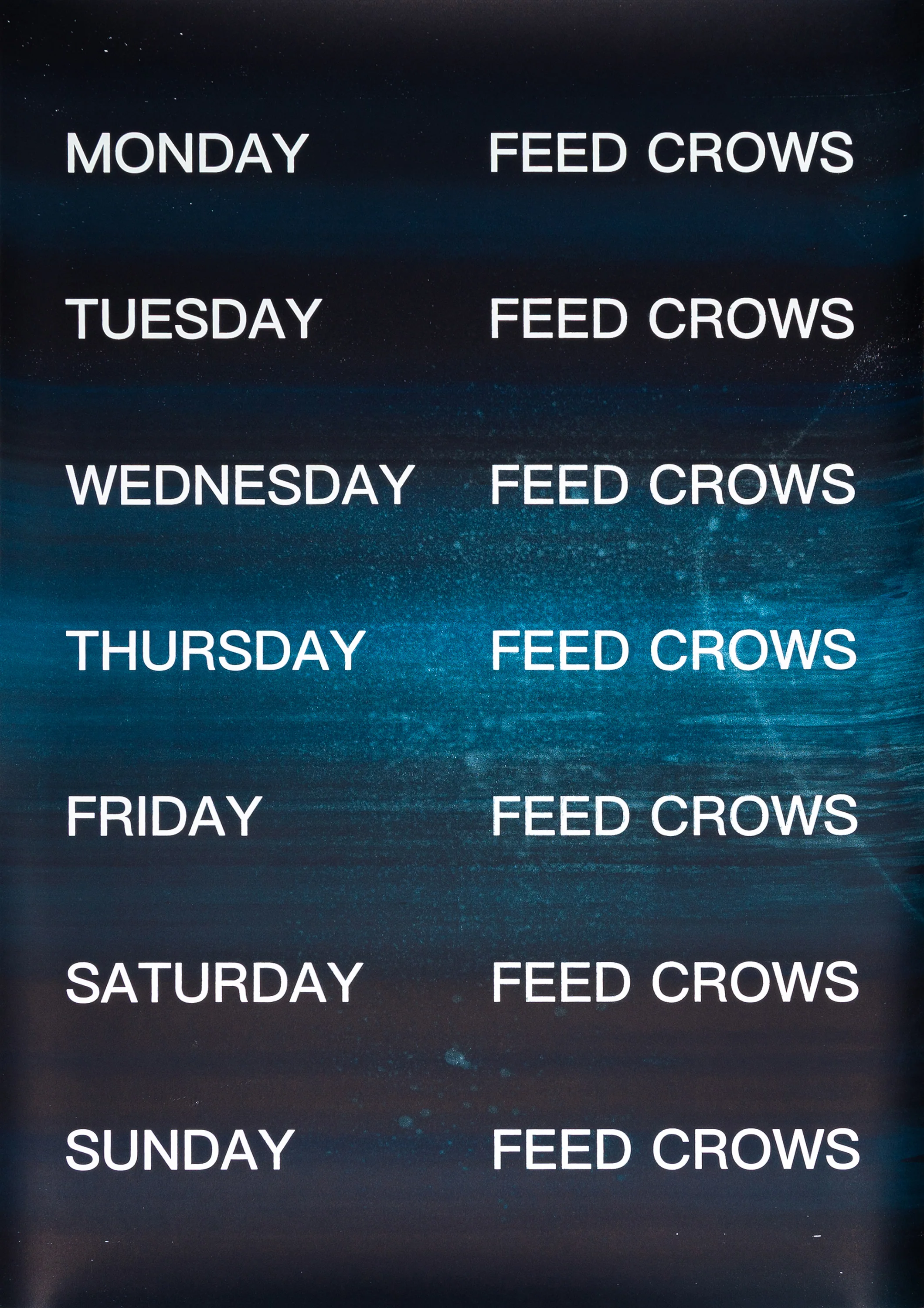 David Horvitz - Feed Crows (Print) - Image 25
