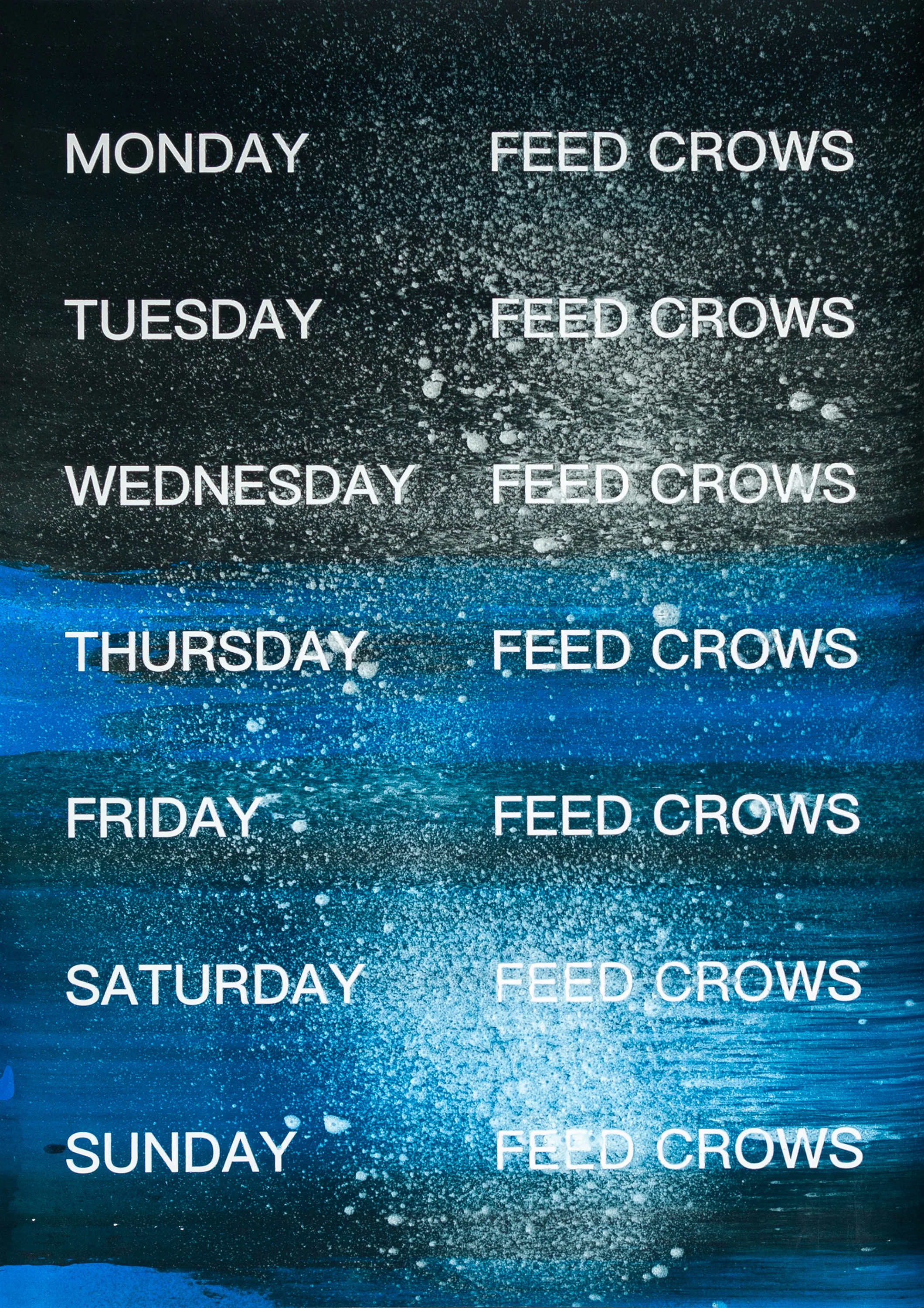 David Horvitz - Feed Crows (Print) - Image 26