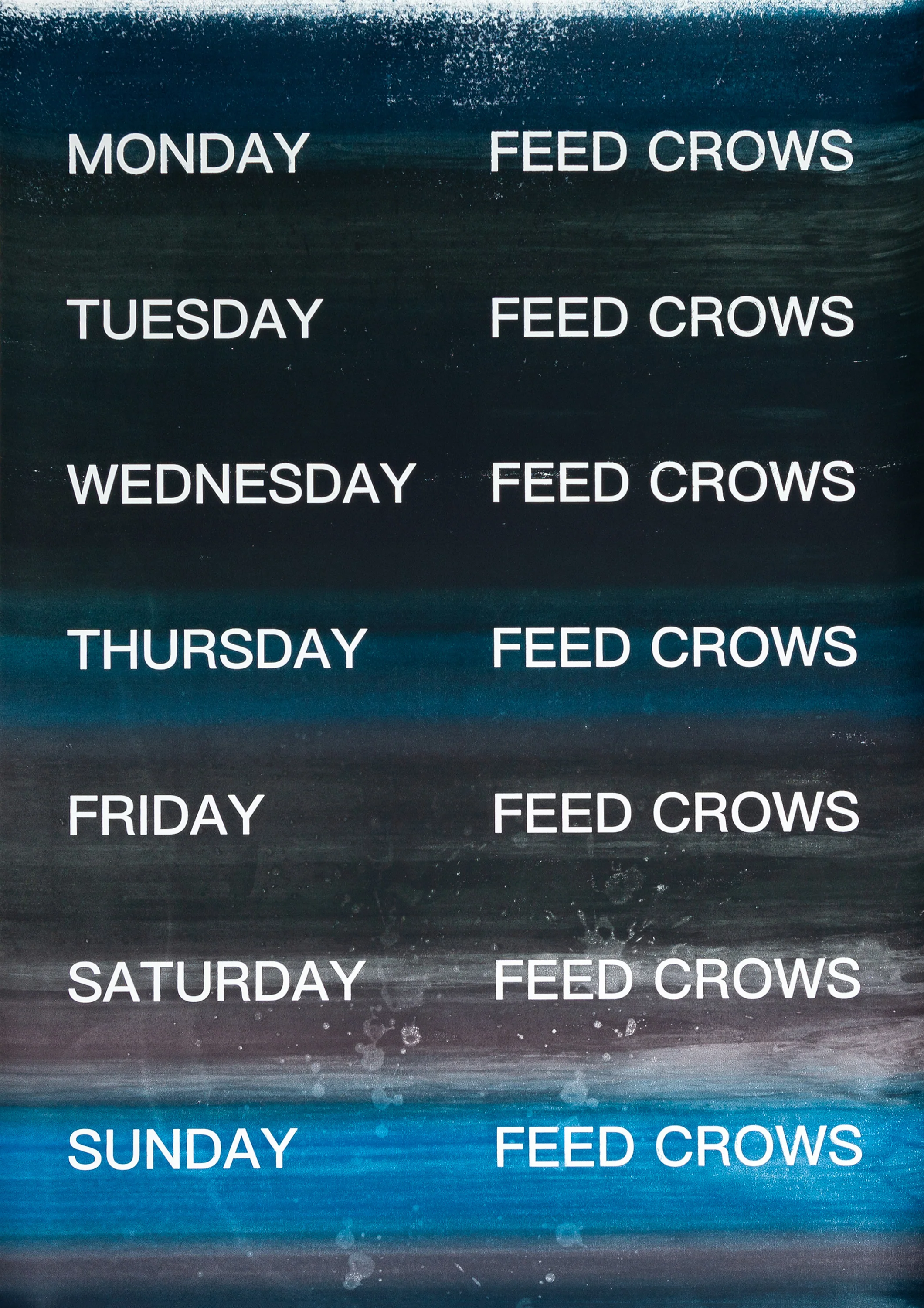 David Horvitz - Feed Crows (Print) - Image 27