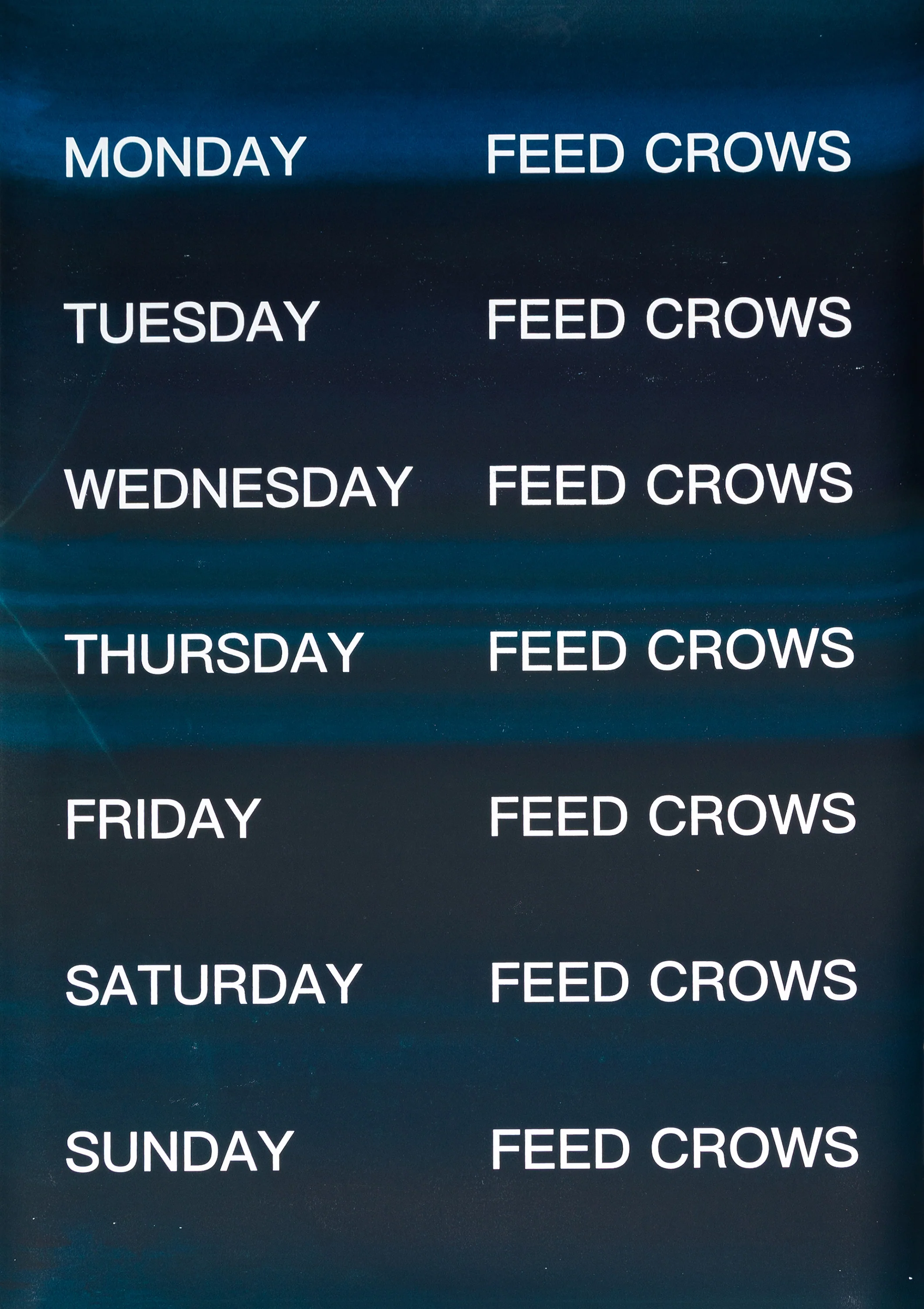 David Horvitz - Feed Crows (Print) - Image 28