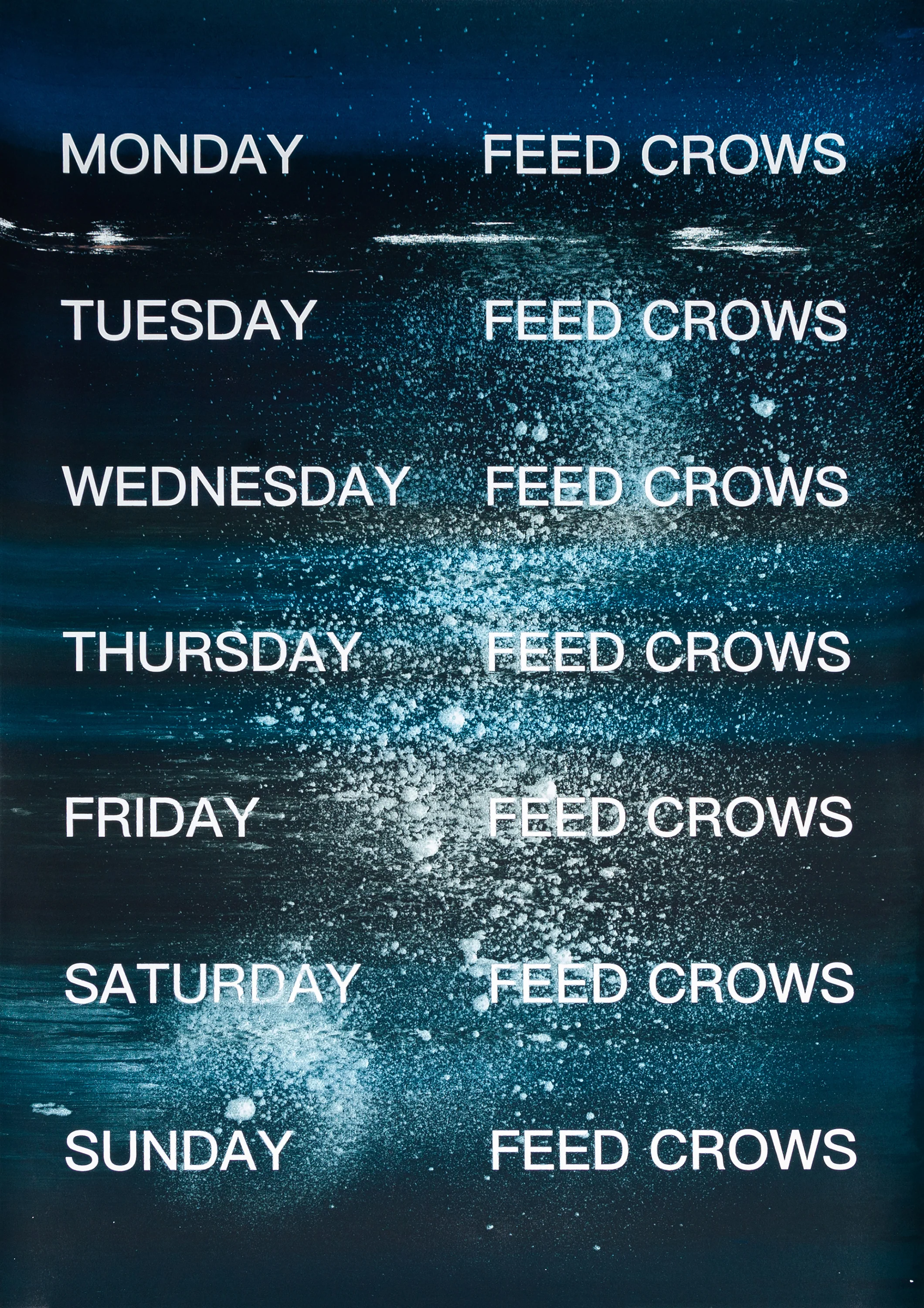 David Horvitz - Feed Crows (Print) - Image 30